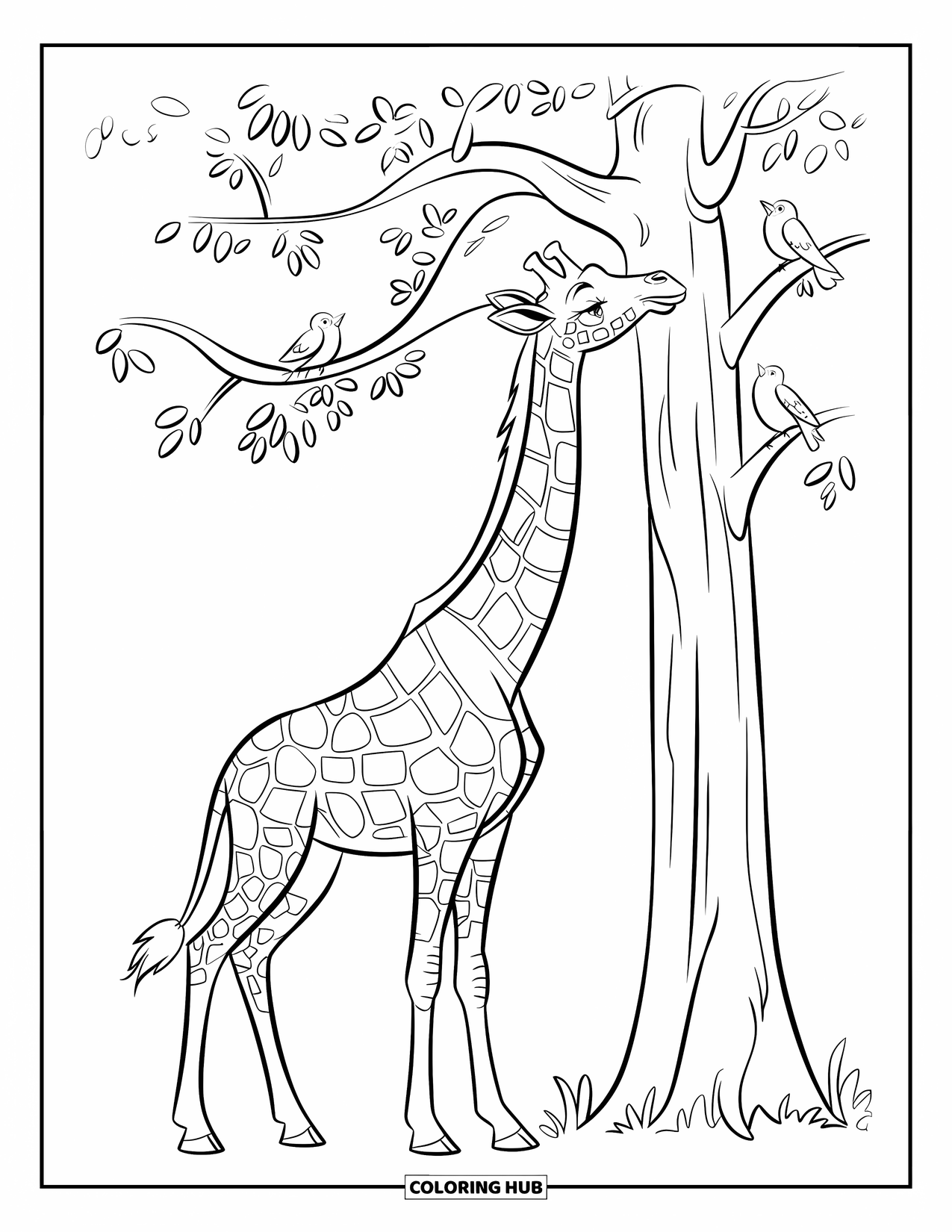 Disegno di giraffa da colorare per bambini: una giraffa cerca di raggiungere le foglie mentre gli uccelli si appollaiano su un albero vicino