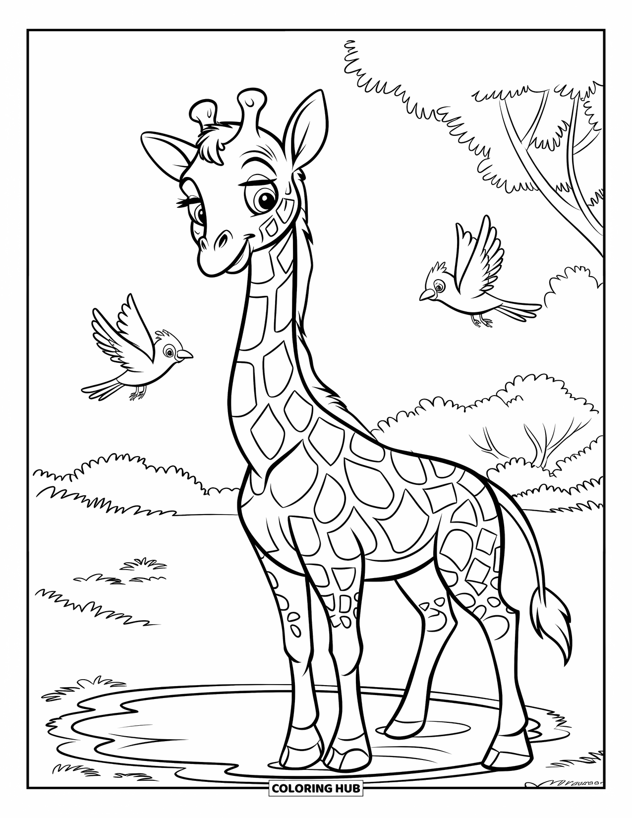 Disegno di giraffa da colorare per bambini: una giraffa si trova accanto a un piccolo stagno mentre gli uccelli volano nelle vicinanze