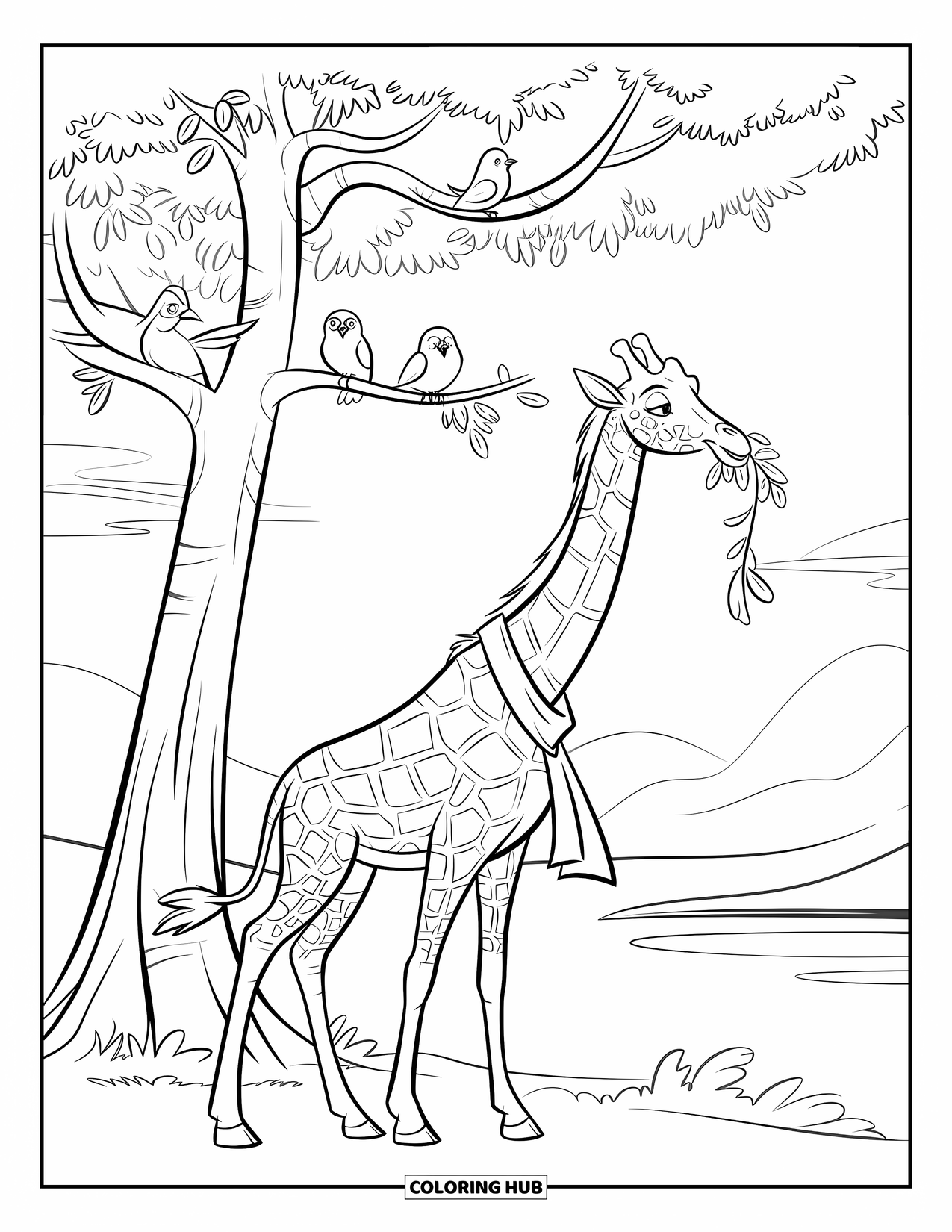 Disegno di giraffa da colorare per bambini: una giraffa allunga il collo per mangiare mentre gli uccelli svolazzano sull'albero sopra