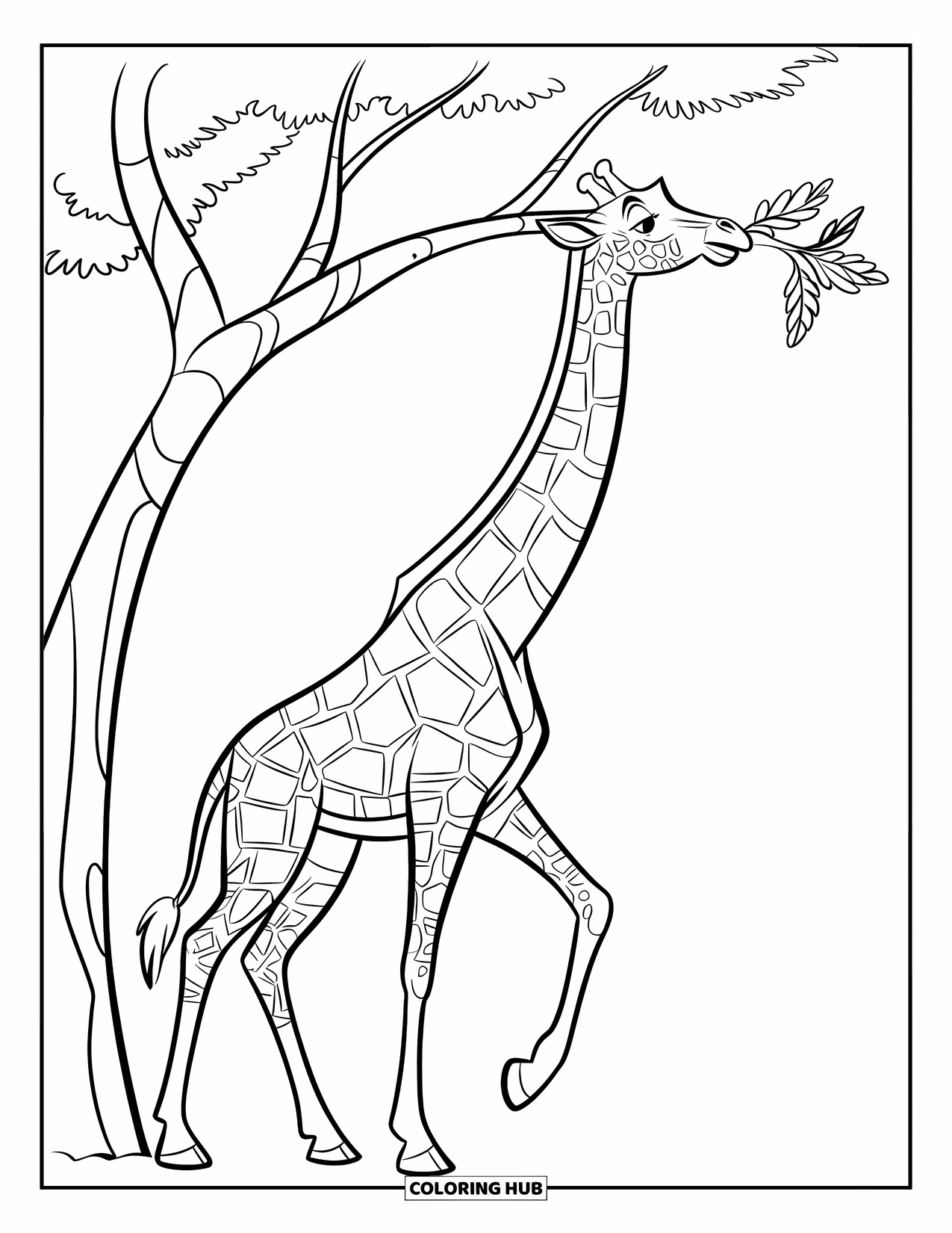 Disegno di giraffa da colorare per bambini: una giraffa allunga il collo per raggiungere un ramo con le foglie