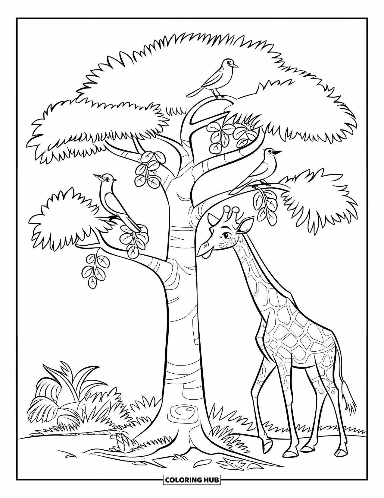 Disegno di giraffa da colorare per bambini: un albero alto ripara una giraffa mentre gli uccelli si appollaiano sui suoi rami frondosi
