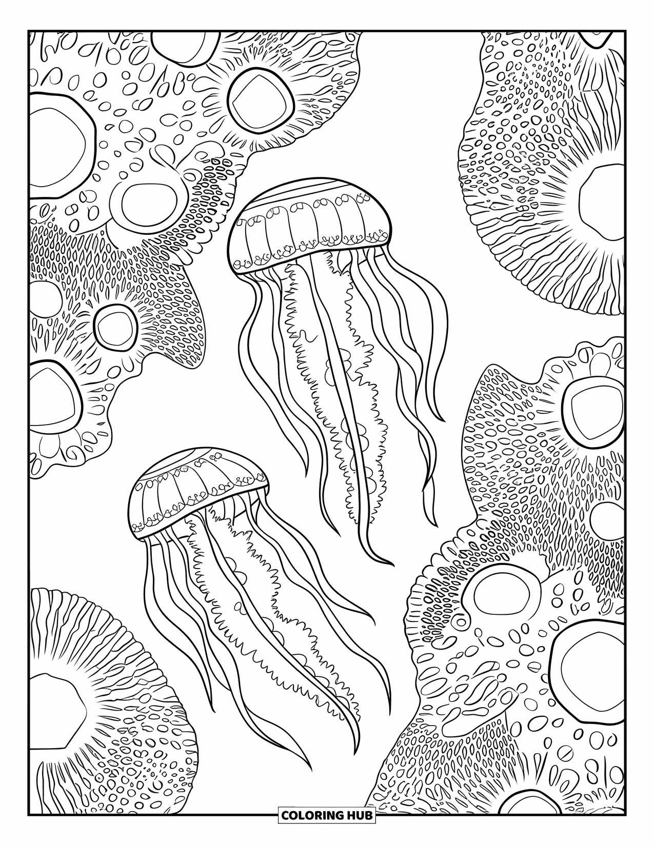 Kolorowanka z meduzą dla dorosłych: Para meduz ze skomplikowanymi wzorami unosi się w podwodnym labiryncie koralowców