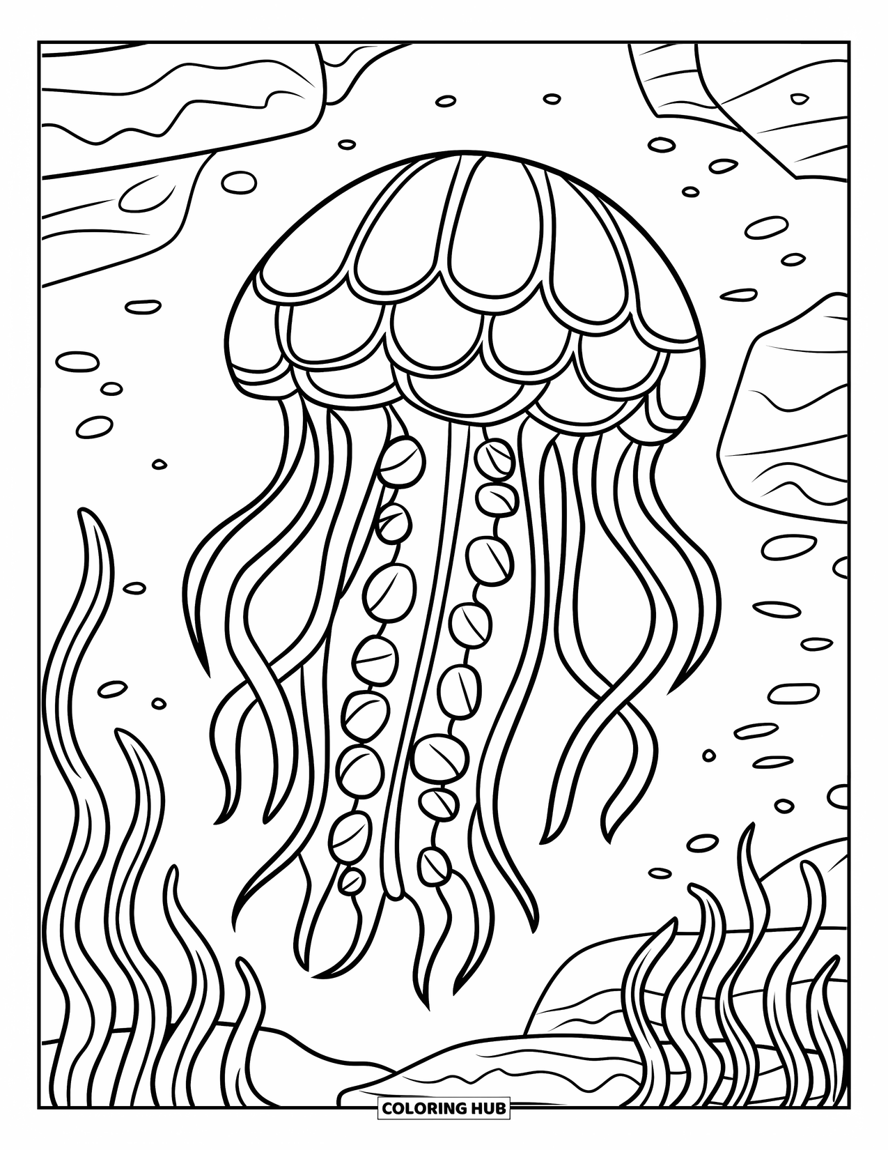 Kolorowanka dla dzieci: Meduza z wzorzystym dzwonem unosi się nad podwodnymi skałami i kołyszącymi się wodorostami