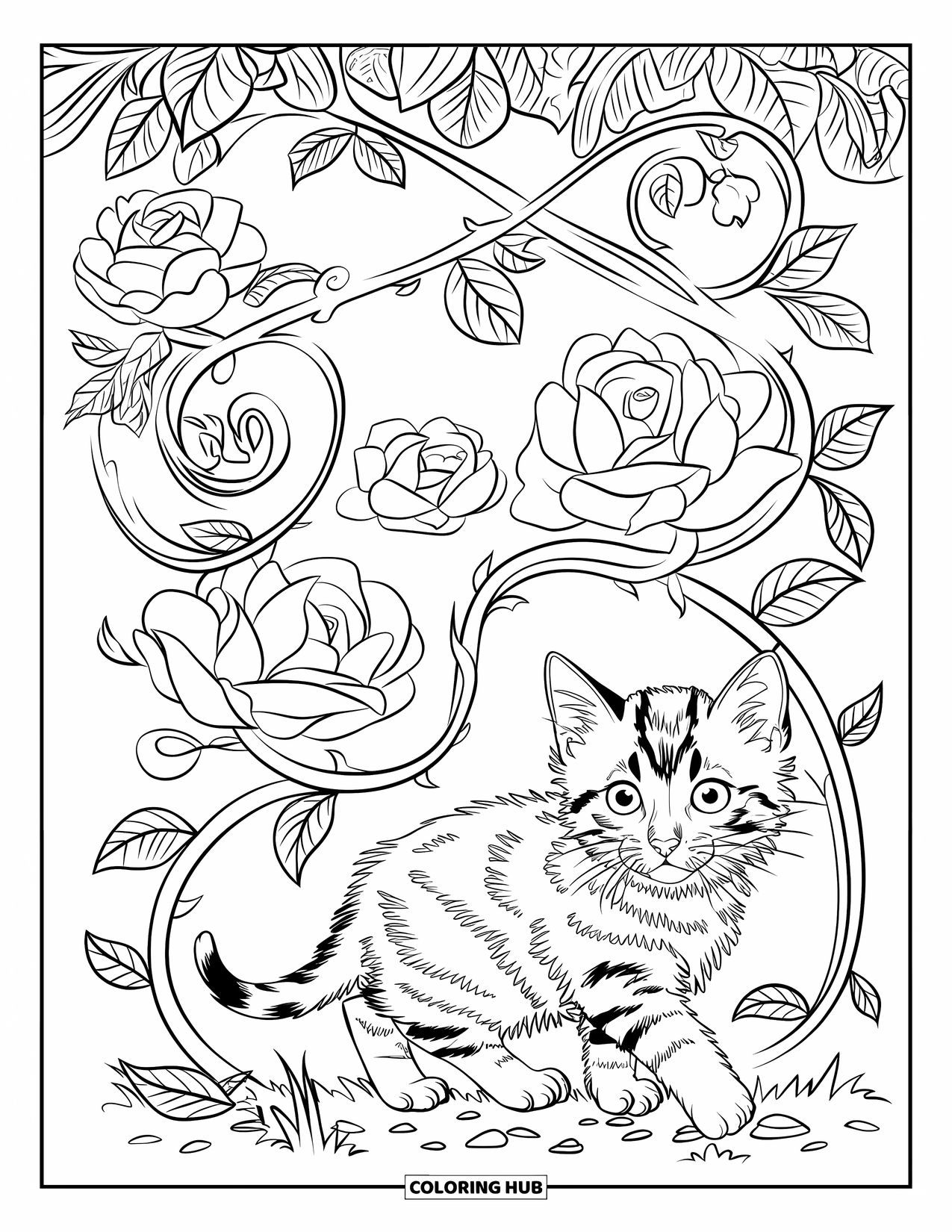 Dibujo de gatito para colorear para adultos: Un gatito bengalí se entrelaza entre delicadas rosas giratorias, su pelaje se mezcla con los patrones florales