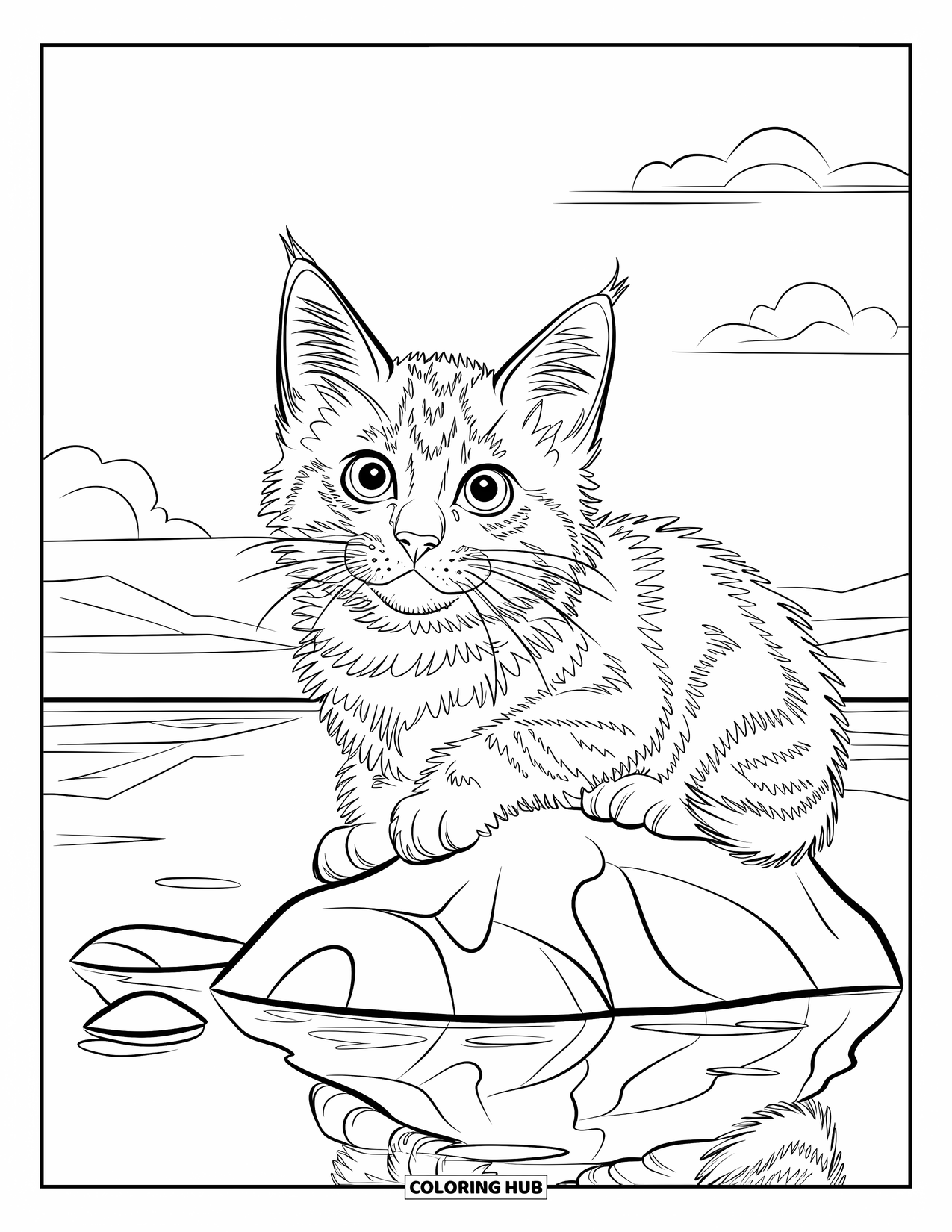 Dibujo de gatito para niños: Un gatito Maine Coon se sienta en una roca, su esponjoso pelaje alborotado por la suave brisa del bosque