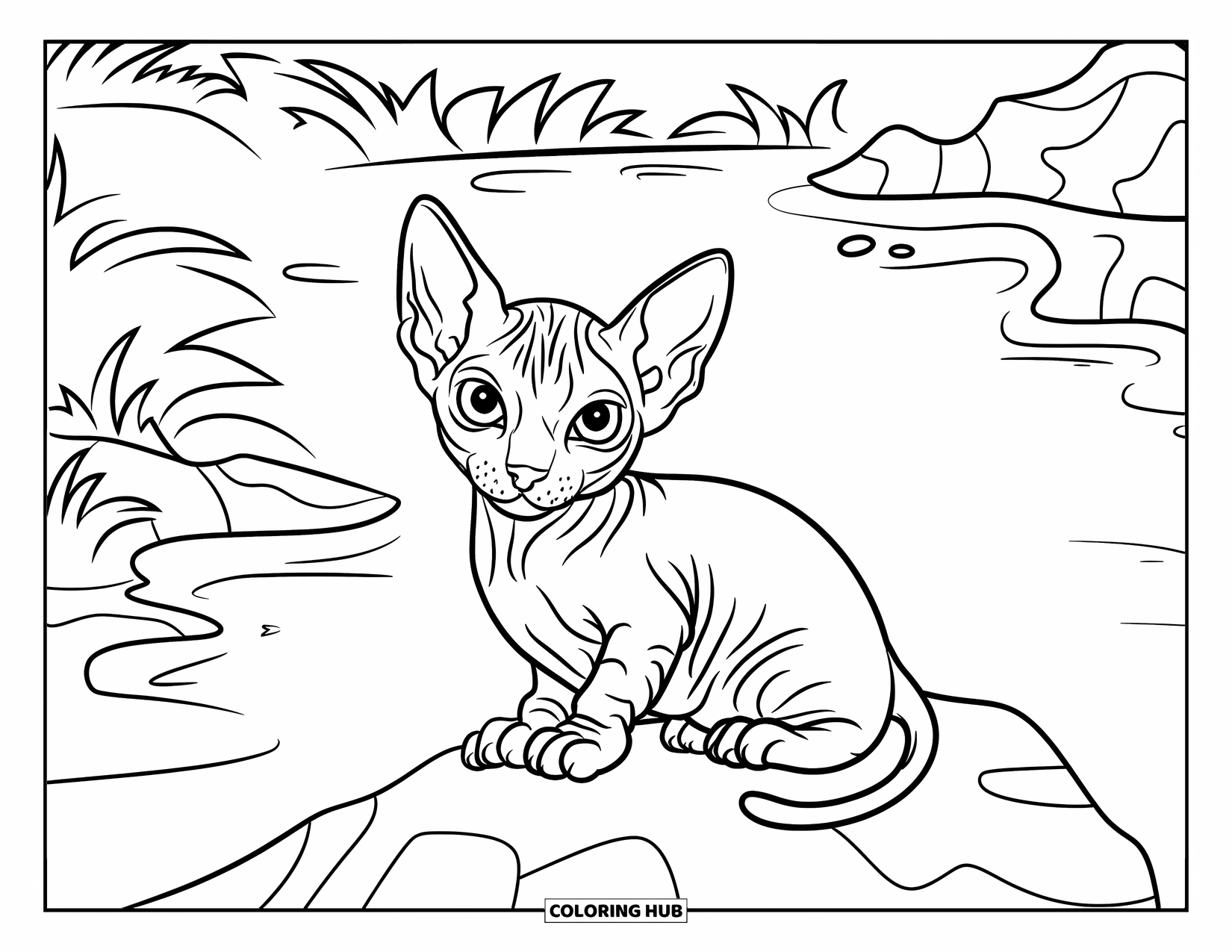 Dibujo de gatito para niños: Un gatito Sphynx se sienta en una roca cerca de una tranquila masa de agua, mirando su reflejo