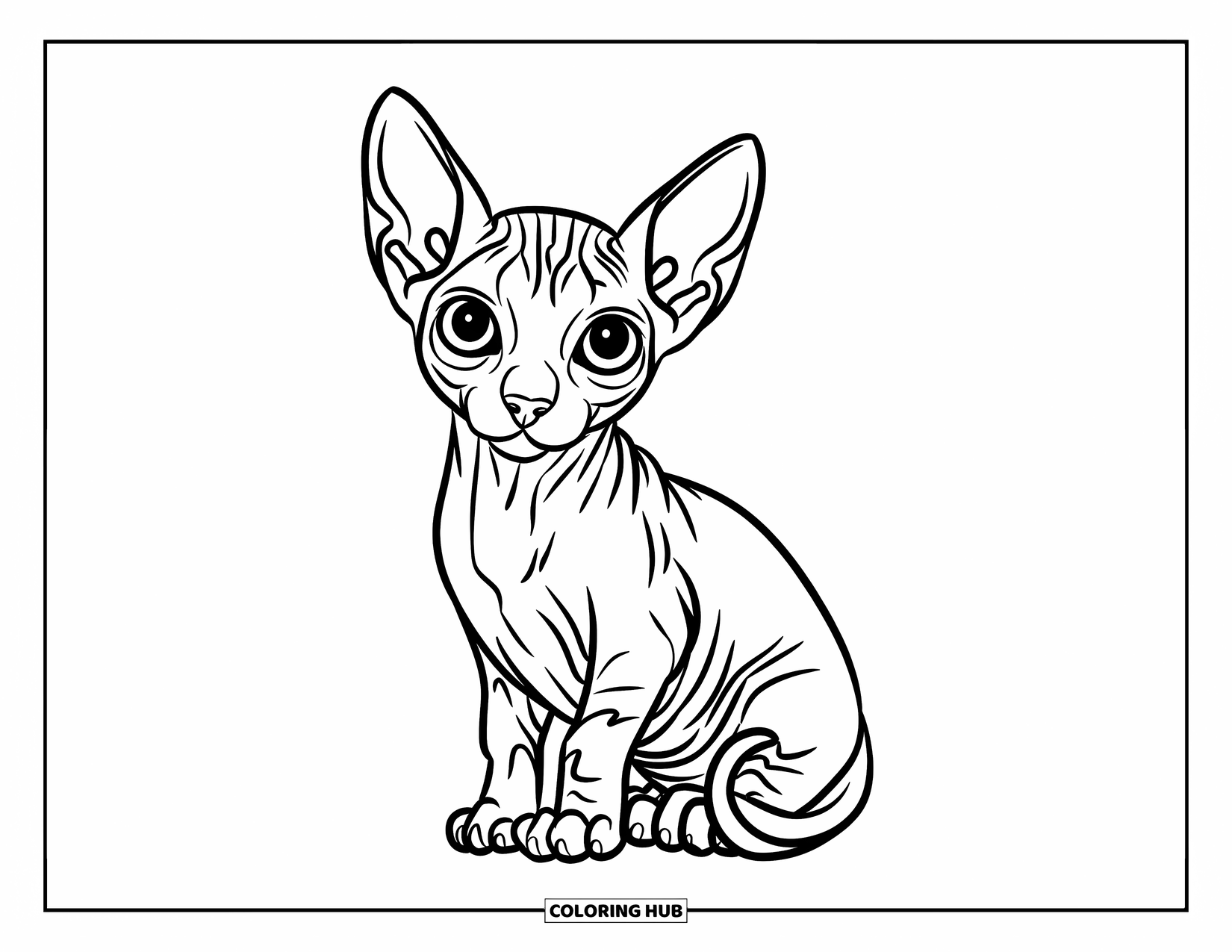Dibujo de gatito para niños: Un gatito Sphynx con piel arrugada se sienta con curiosidad en una roca, con plantas y agua a la distancia