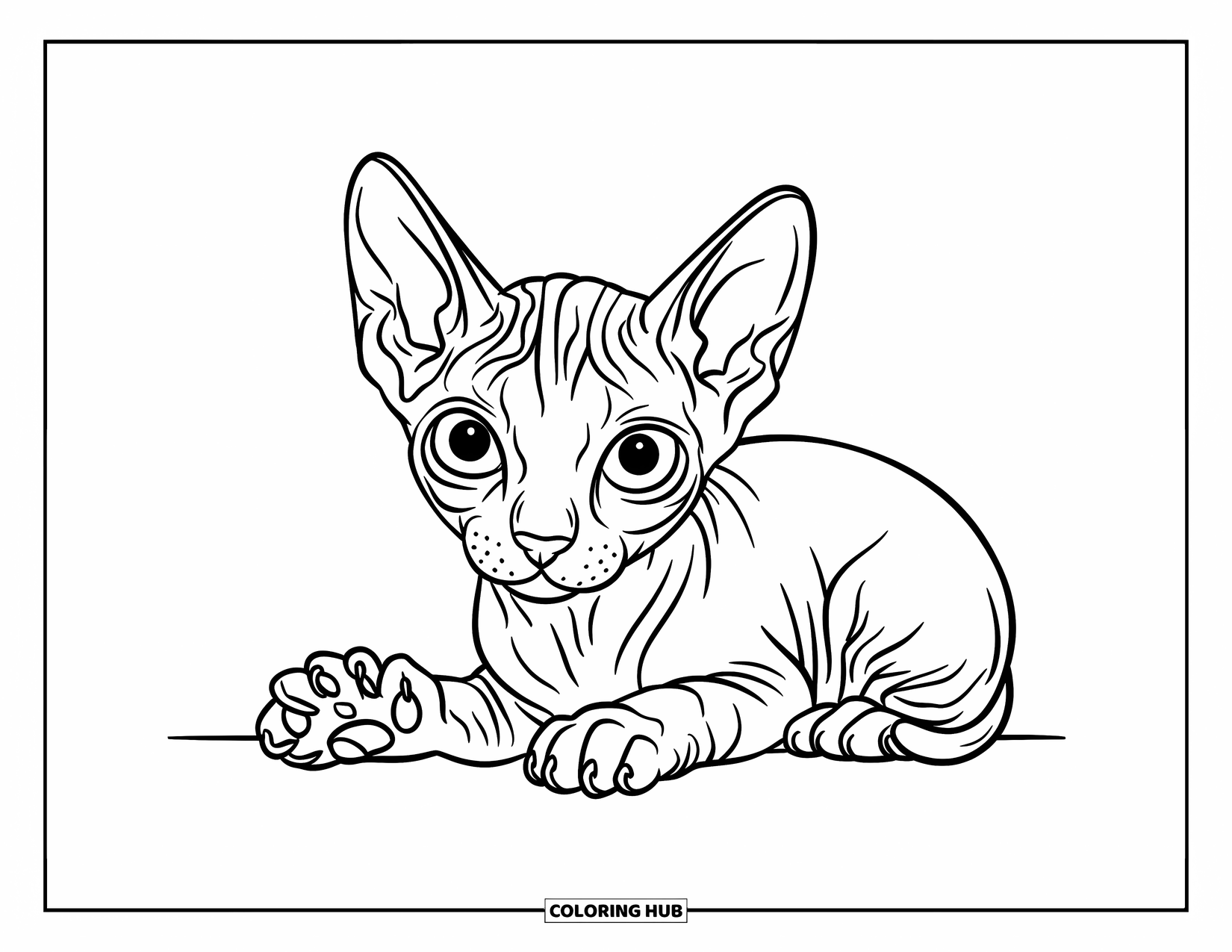 Dibujo de gatito para niños: Un pequeño gatito Sphynx se sienta en una piedra, mirando al cielo con curiosos ojos grandes