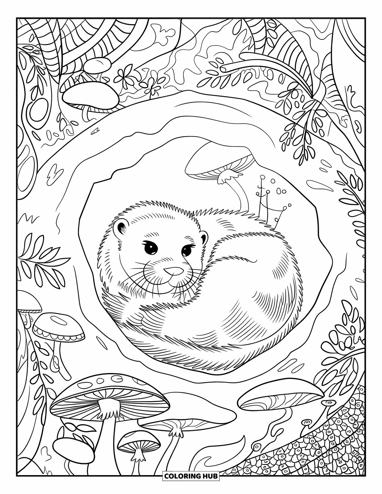 Kolorowanka z wydrą dla dorosłych: Wydra zwija się w przytulnej norze, otoczona grzybami, paprociami i skomplikowanymi detalami leśnymi