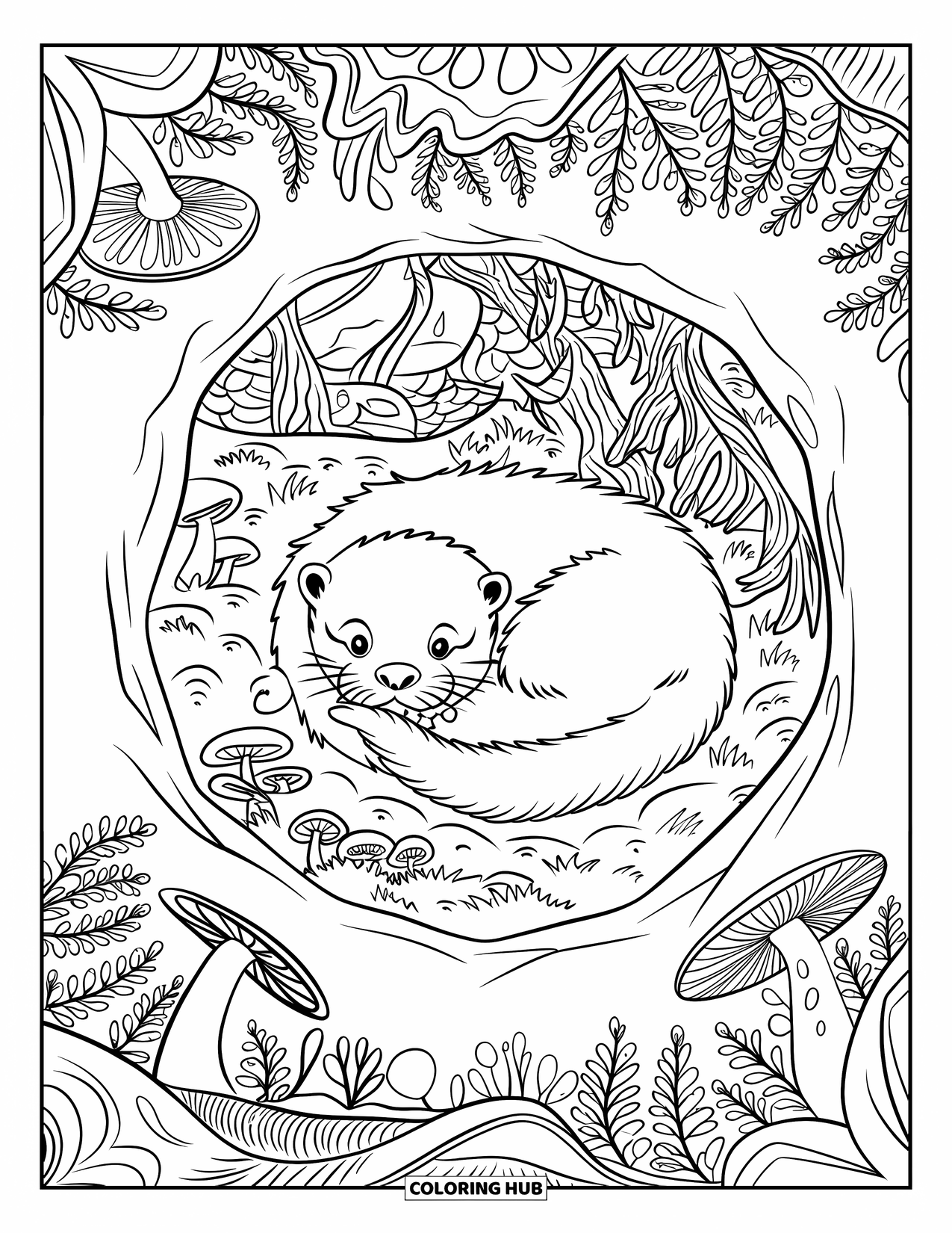 Kolorowanka z wydrą dla dorosłych: Wydra zwija się w przytulnej norze, otoczona lasem pełnym grzybów i paproci