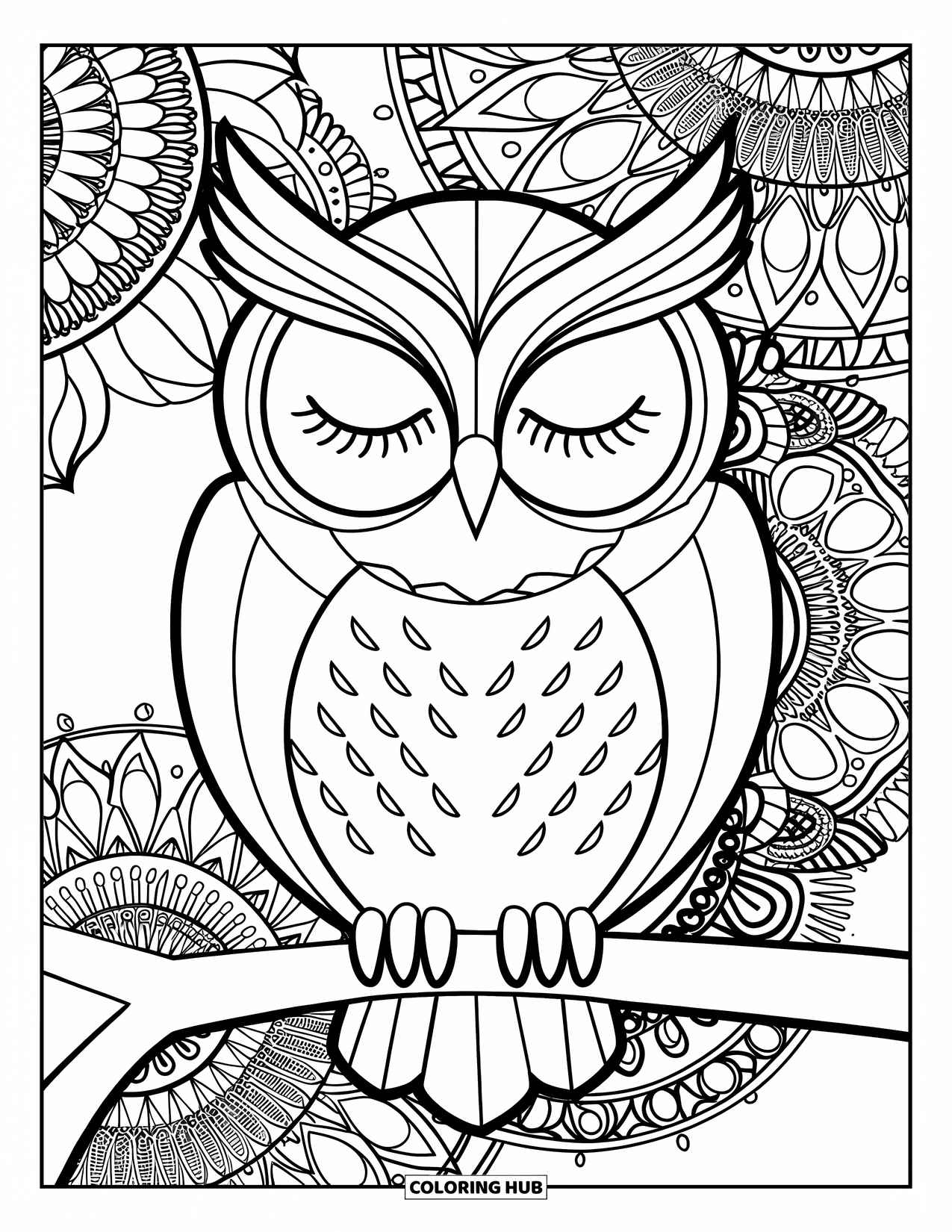 Dibujo de búho para colorear para adultos: Un búho tranquilo posado en una rama, rodeado de intrincados patrones de mandala