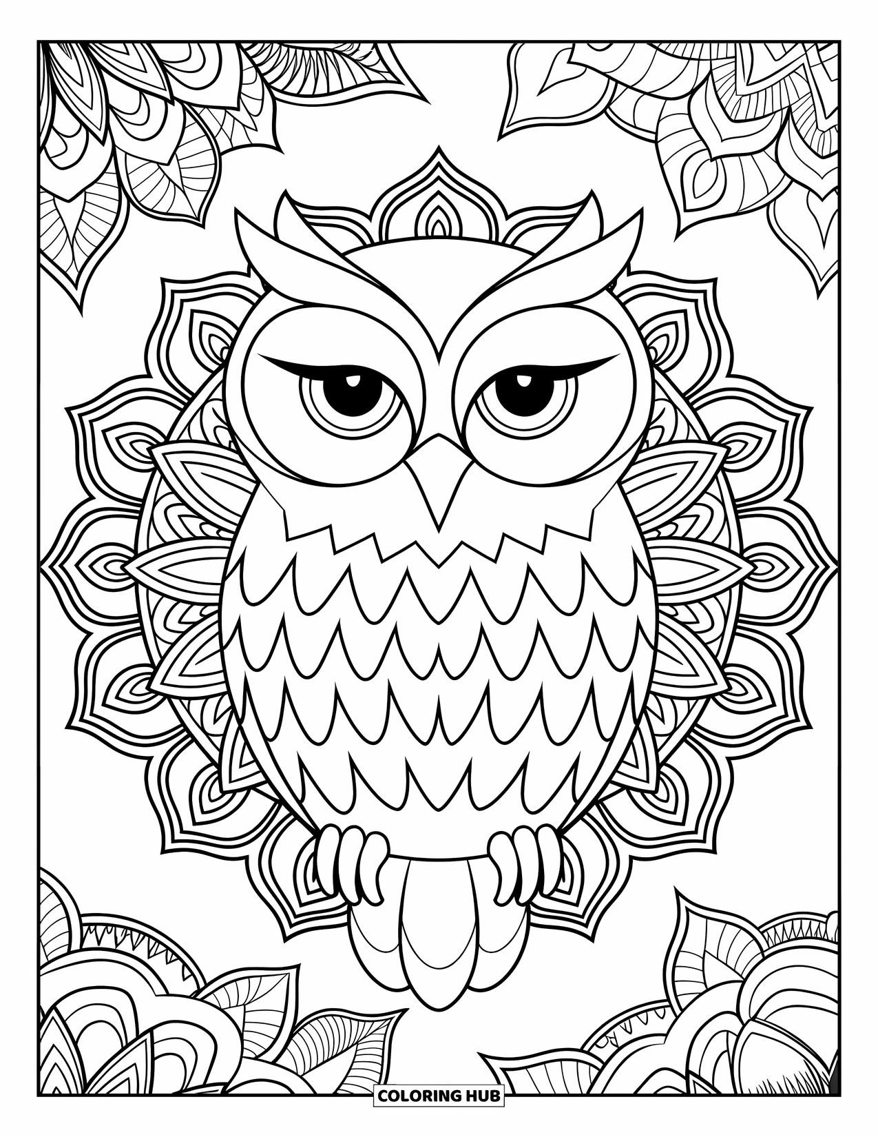 Dibujo de búho para colorear para adultos: Un búho tranquilo posado en una rama, con texturas de plumas detalladas e intrincados patrones de mandala