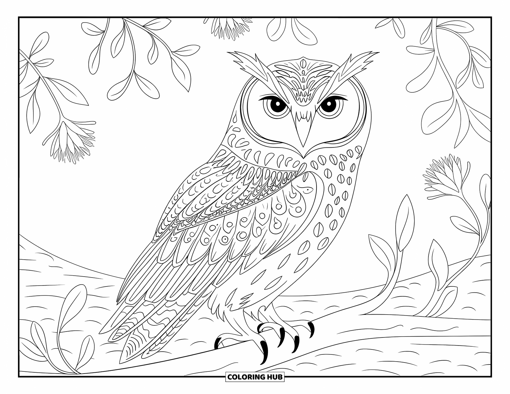 Dibujo de búho para colorear para adultos: Un búho detallado posado en una rama, rodeado de elementos florales y un suelo texturizado