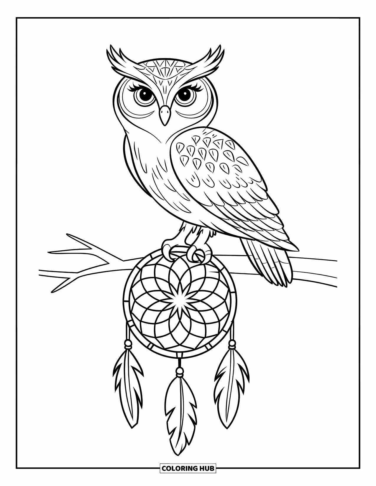 Dibujo de búho para colorear para niños: Un búho posado en un atrapasueños, con plumas detalladas y una expresión tranquila