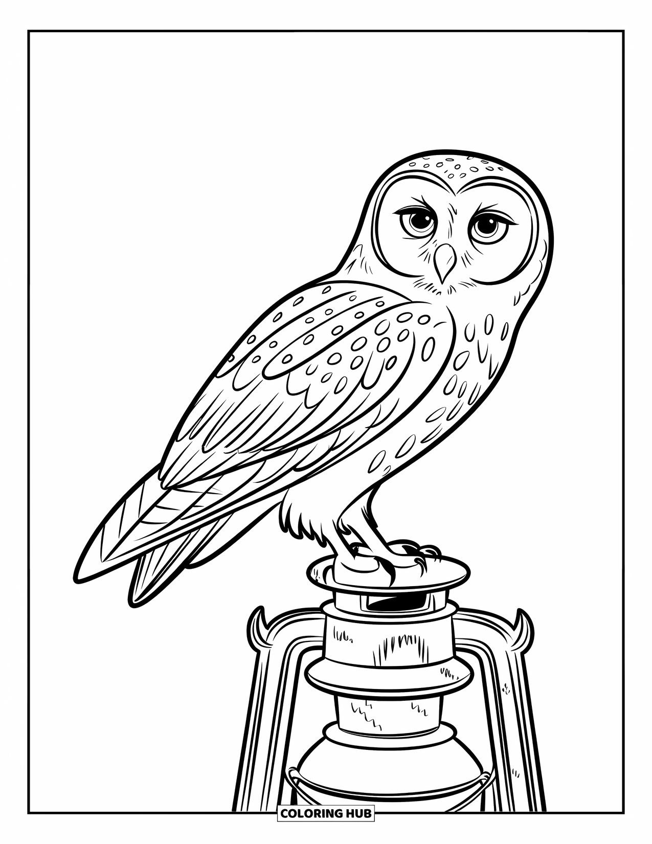 Dibujo de búho para colorear para niños: Un búho posado en una linterna antigua, con ojos grandes y una textura de linterna desgastada