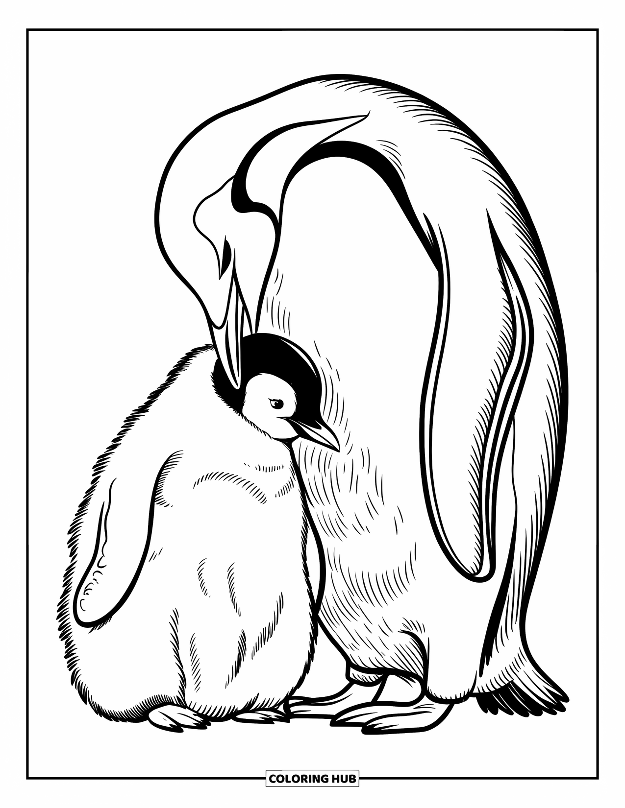 Disegno di un pinguino da colorare per bambini: Un pinguino imperatore e il suo pulcino si stringono insieme in un ambiente innevato