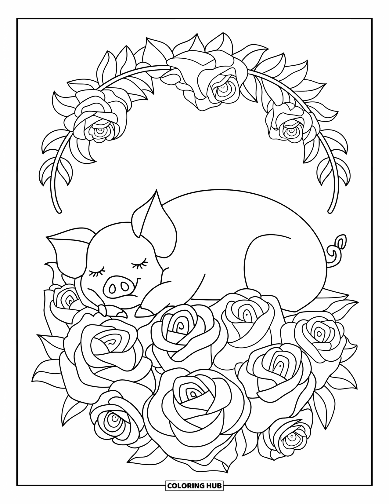 Desenho de Porco para Colorir para Adultos: Um porco dorme pacificamente em uma cama de rosas dispostas em um elegante padrão circular