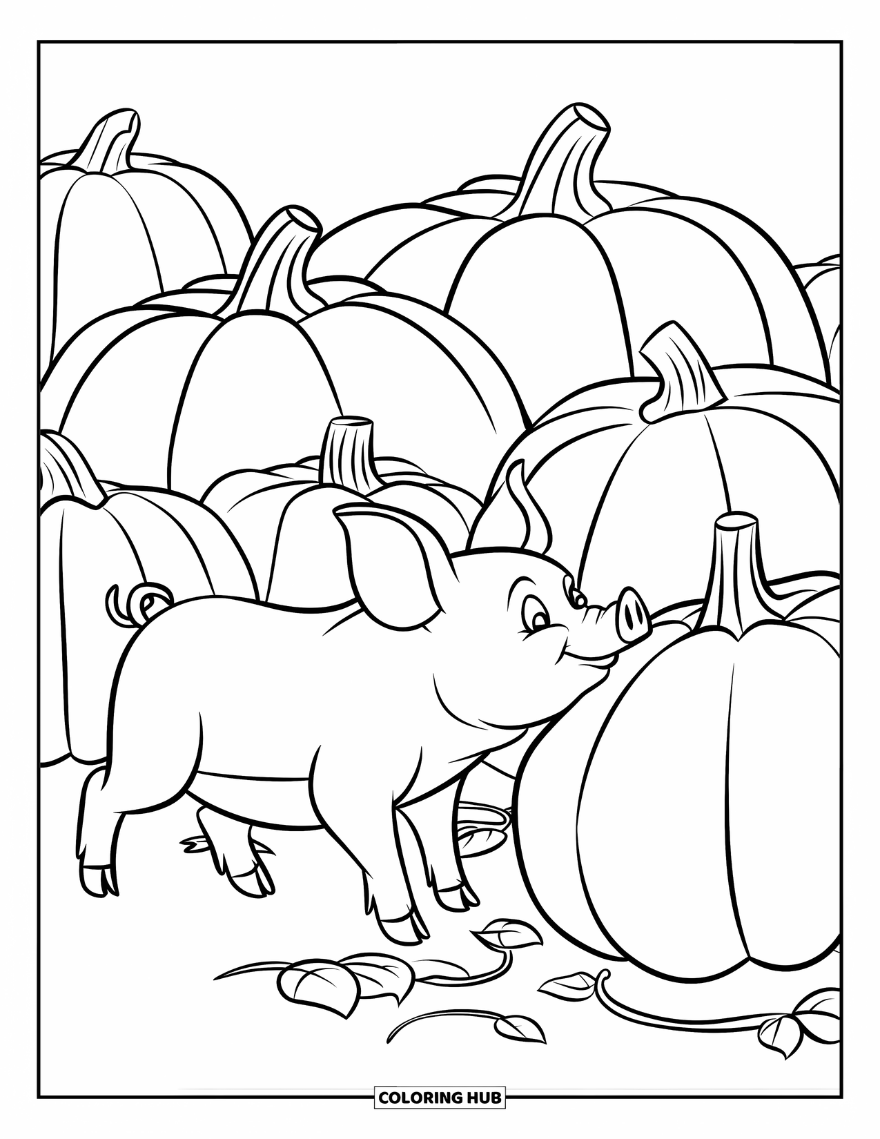 Desenho de Porco para Colorir para Crianças: Um porco cheira uma abóbora gigante em um campo de abóboras coberto de trepadeiras