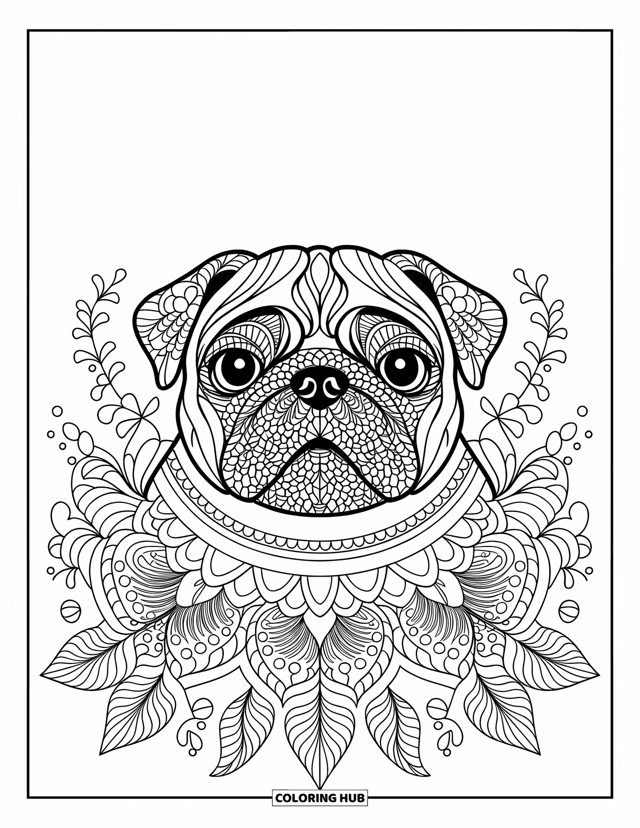 Desenho de Pug para Colorir para Adultos: O rosto de um pug majestoso apresenta padrões de mandala, emoldurado por detalhes florais delicados