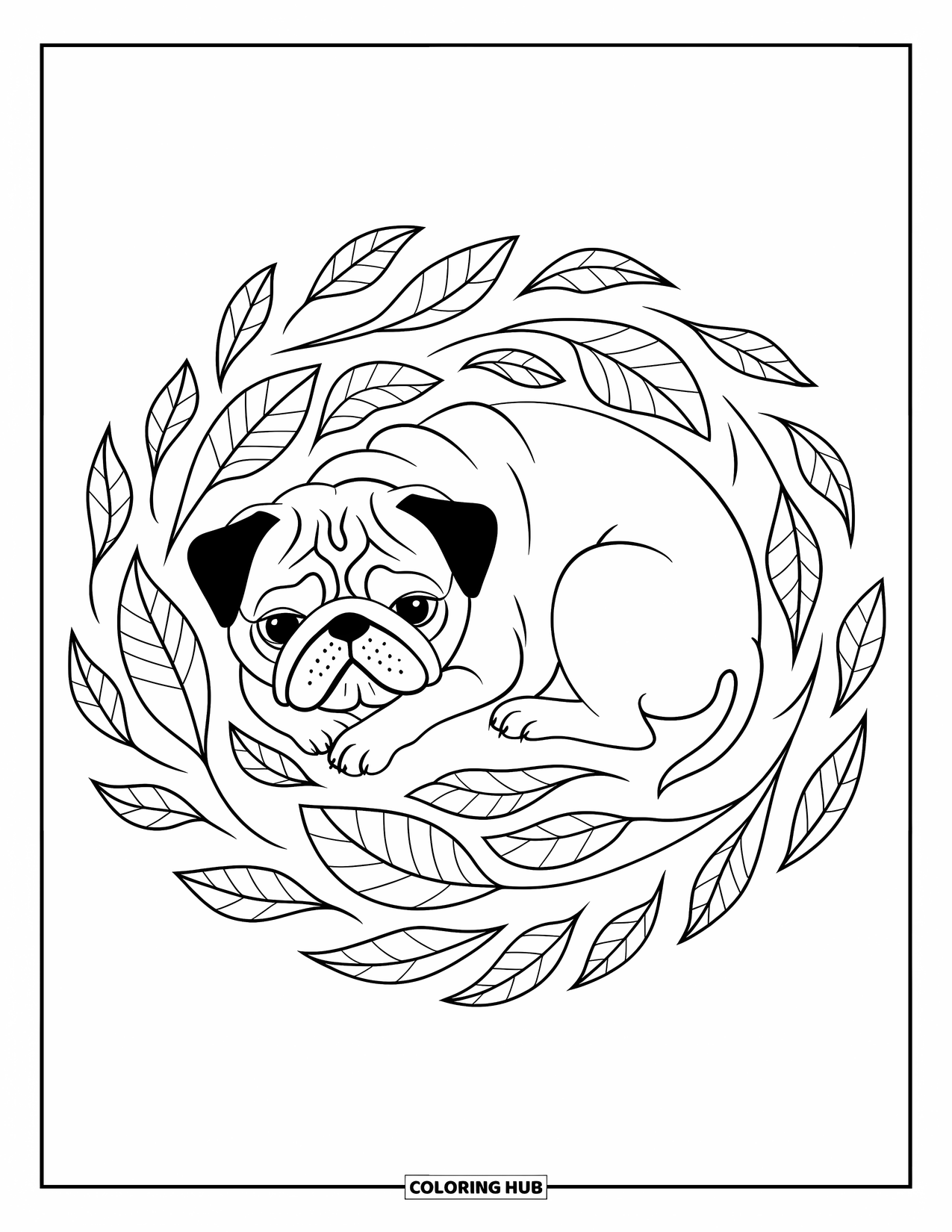 Desenho de Pug para Colorir para Adultos: Um pug tranquilo se enrola em uma cama giratória de folhas com padrões intrincados