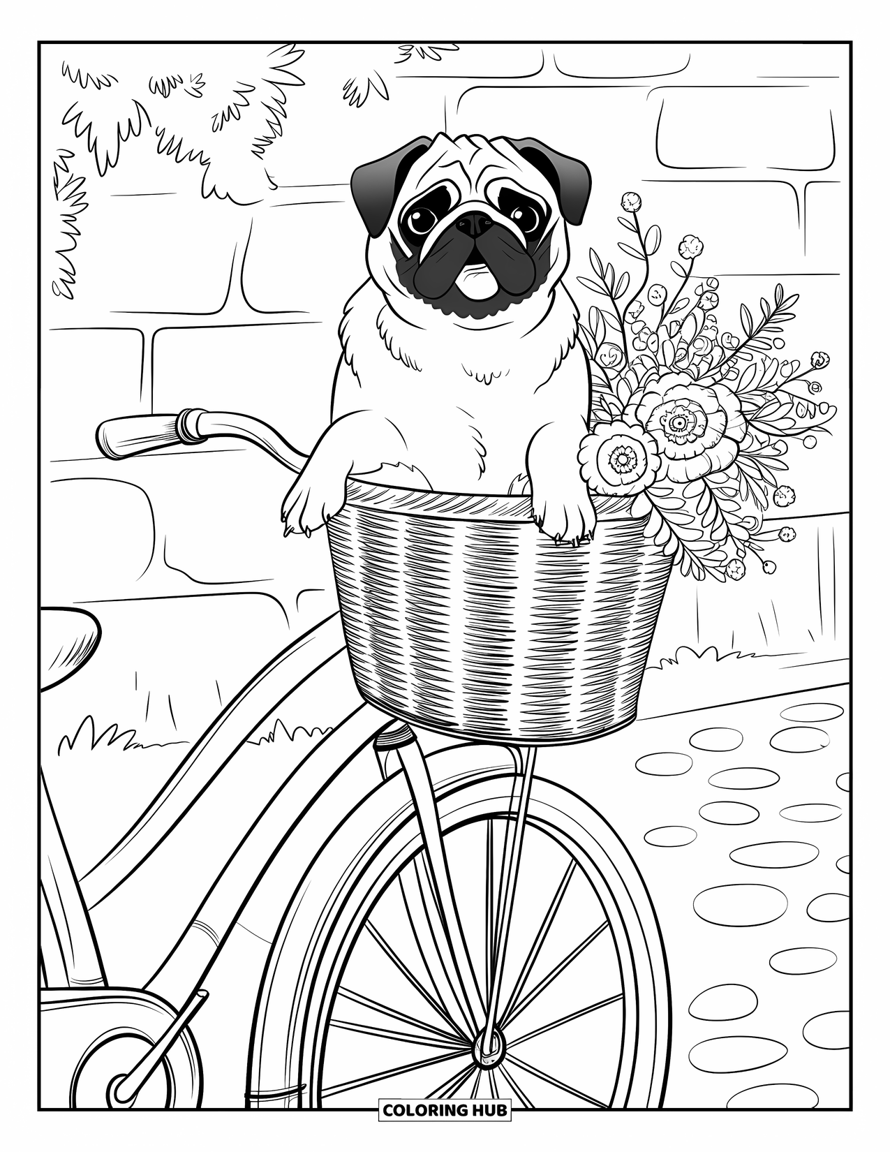 Desenho de Pug para Colorir para Adultos: Um pug descansa em uma cesta de bicicleta em um caminho de paralelepípedos, perto de uma parede de pedra coberta de vegetação