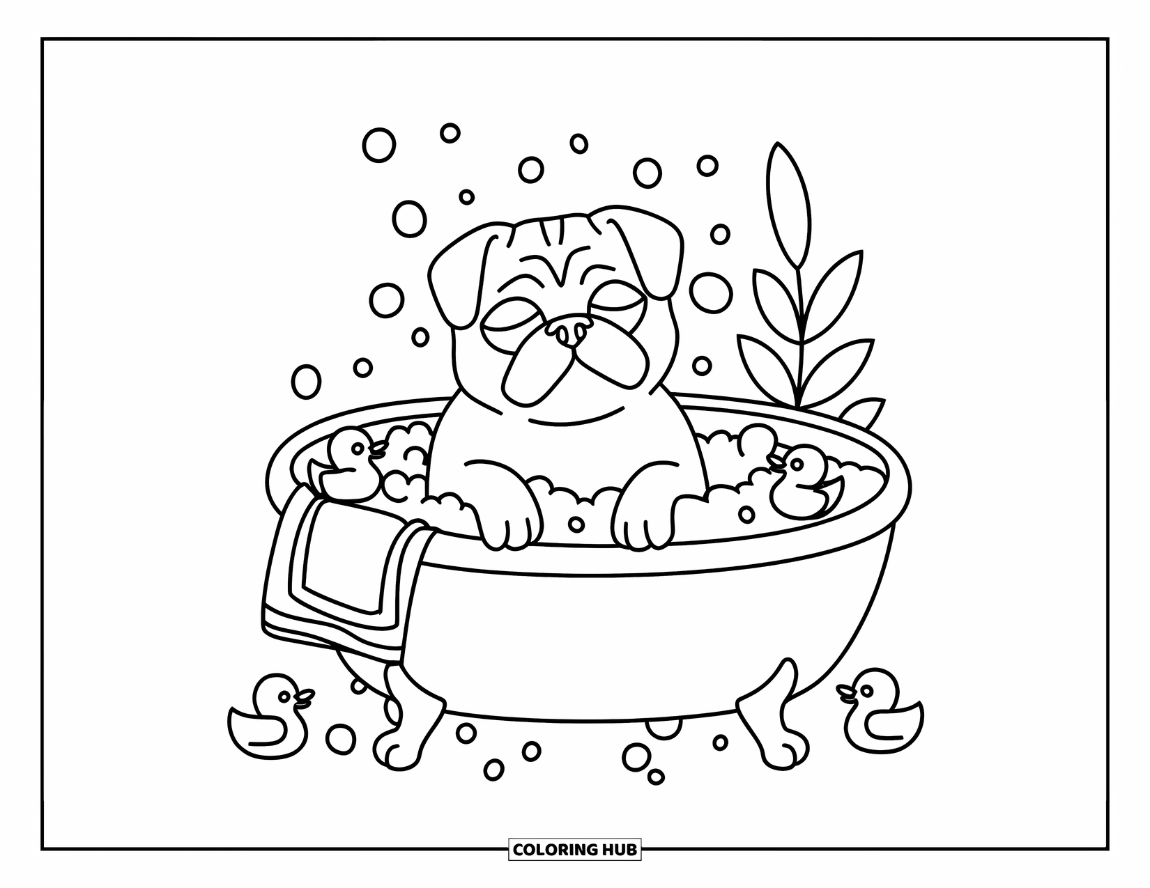 Desenho de Pug para Colorir para Adultos: Um pug sonolento relaxa em um banho quente cheio de bolhas e pequenos patinhos de borracha