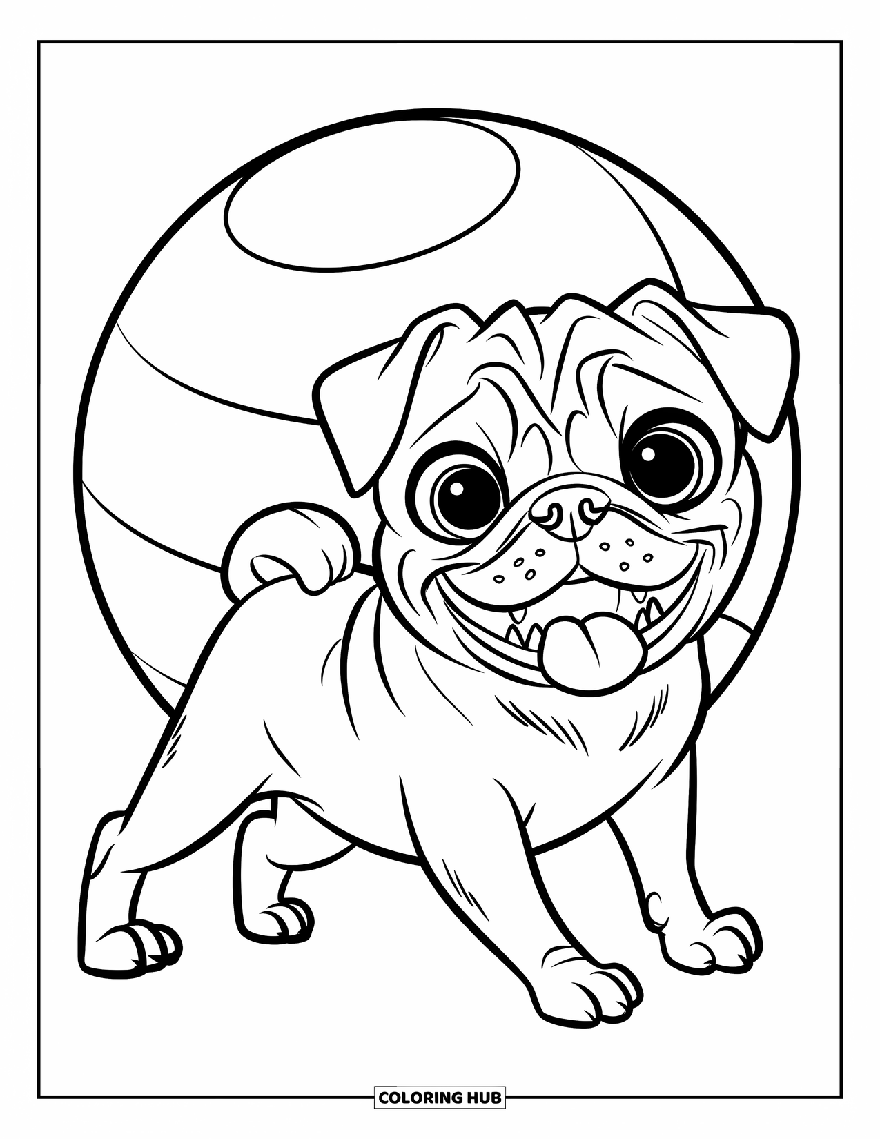 Desenho de Pug para Colorir para Crianças: Um pug feliz com orelhas caídas brinca perto de uma bola grande, parecendo curioso