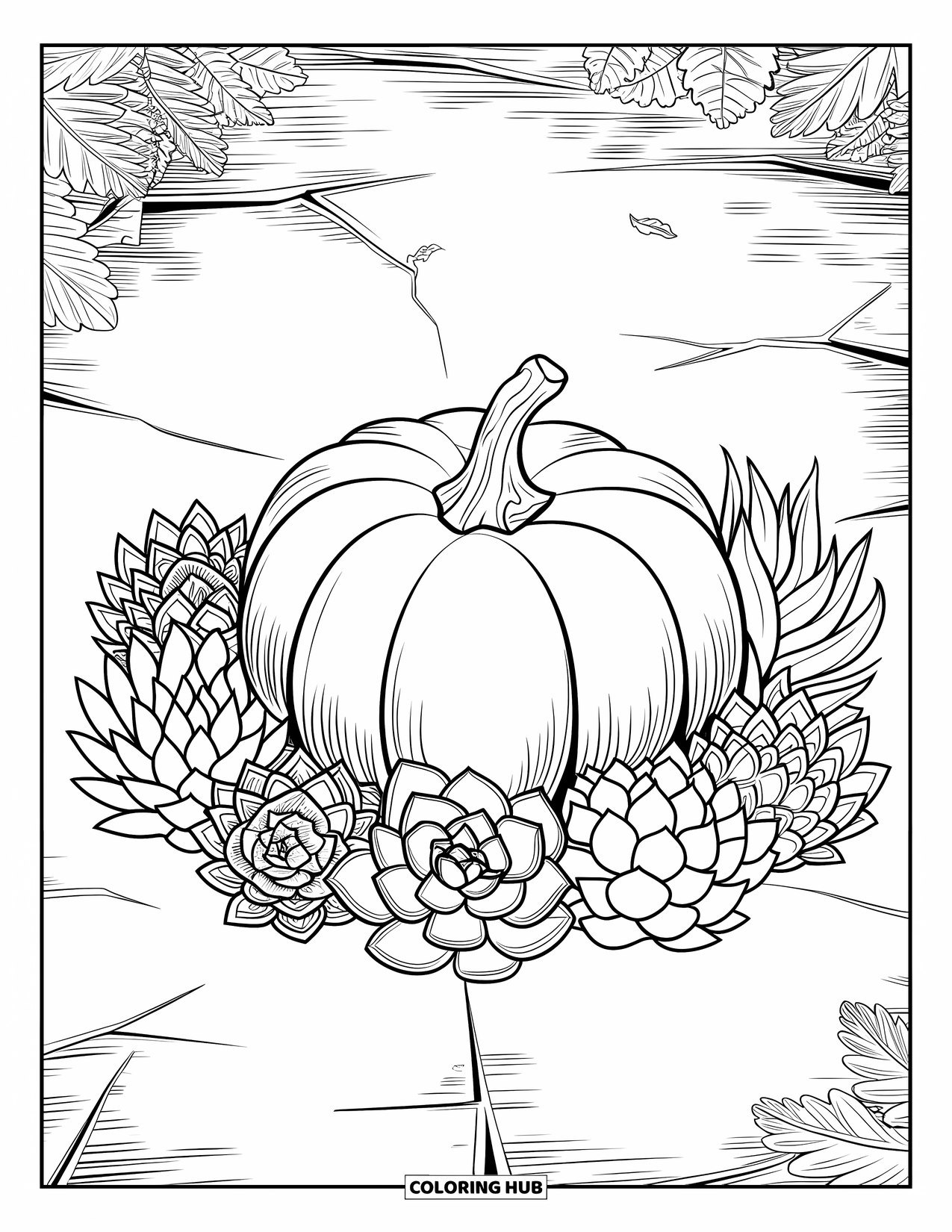 Coloriage de citrouille pour adultes : Une citrouille est posée parmi des plantes succulentes détaillées, disposées selon un motif circulaire sur un sol texturé