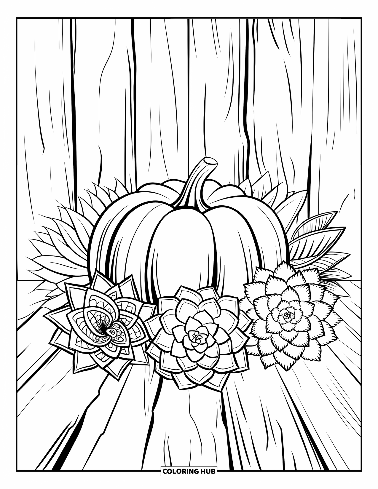 Coloriage de citrouille pour adultes : Une citrouille est posée parmi des plantes succulentes détaillées sur une surface en bois avec un fond rustique et patiné