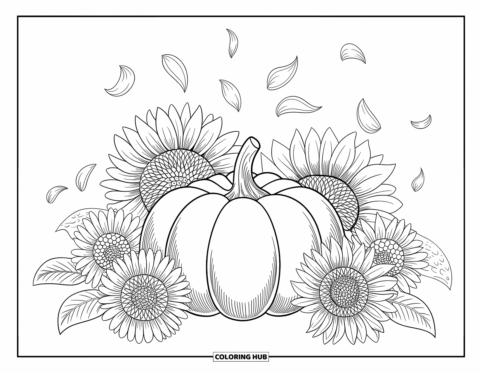Coloriage de citrouille pour adultes : Une citrouille avec une surface lisse est entourée de tournesols texturés et de pétales tombant