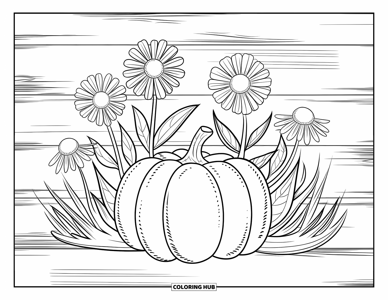 Coloriage de citrouille pour adultes : Une citrouille texturée est entourée de fleurs sauvages détaillées, placées sur une surface en bois