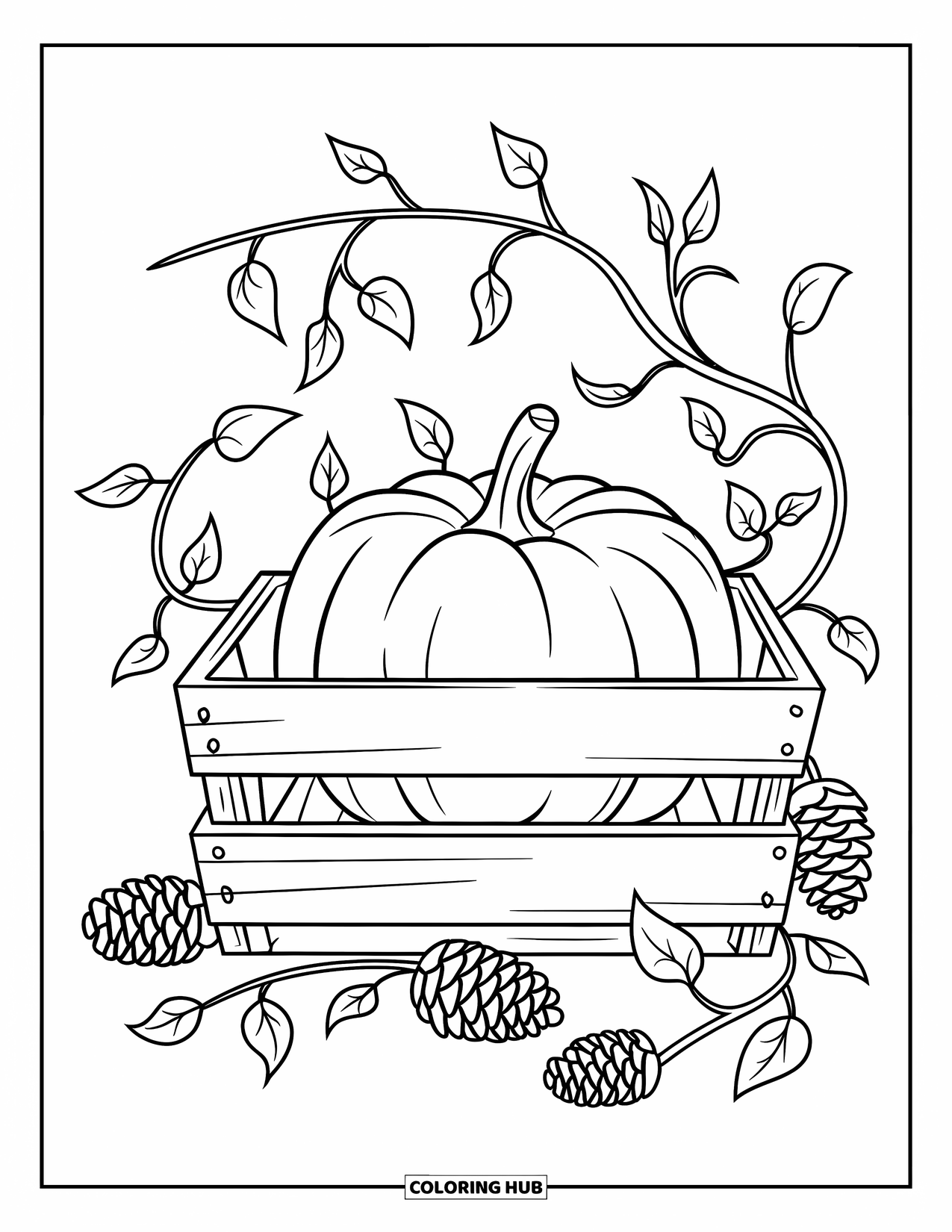Coloriage de citrouille pour enfants : Citrouille dans une caisse avec des pommes de pin et des vignes bouclées détaillées autour