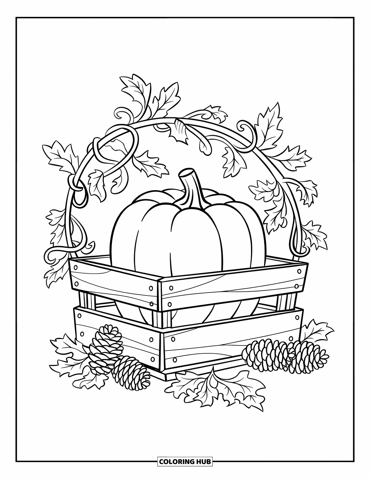 Coloriage de citrouille pour enfants : Citrouille dans une caisse en bois entourée de pommes de pin et de vignes complexes