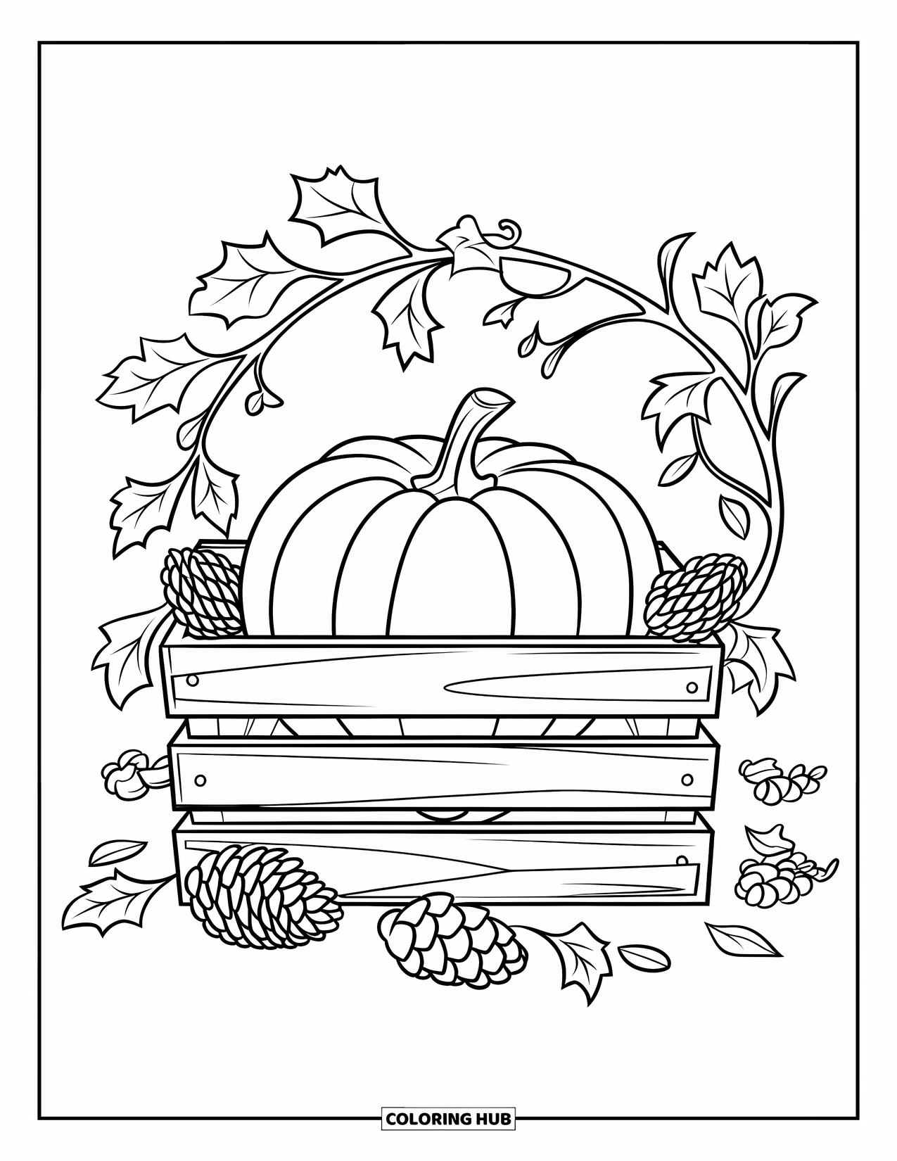 Coloriage de citrouille pour enfants : Citrouille dans une caisse en bois avec des pommes de pin éparpillées et des vignes sinueuses