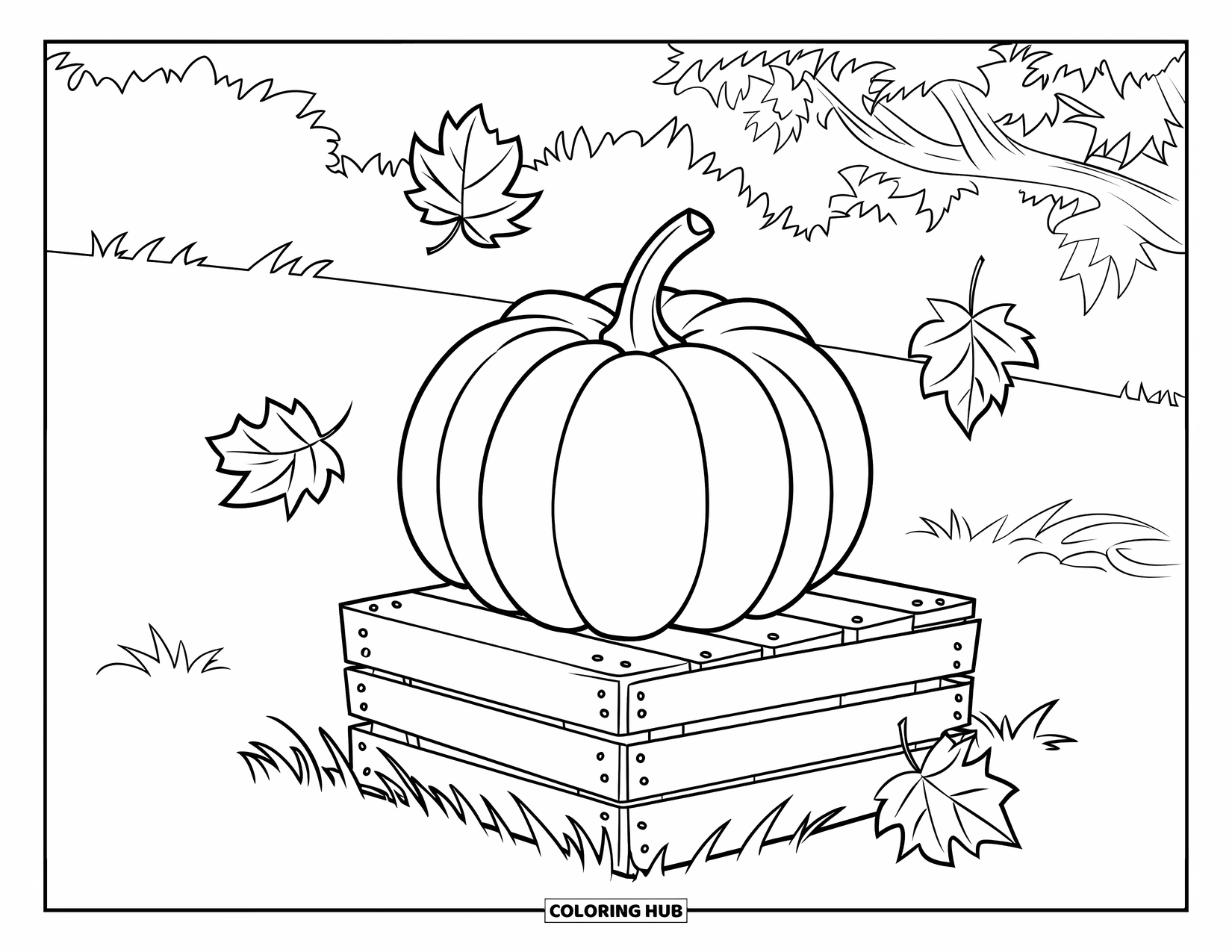 Coloriage de citrouille pour enfants : Citrouille sur une caisse en bois dans un champ herbeux avec un arbre en arrière-plan