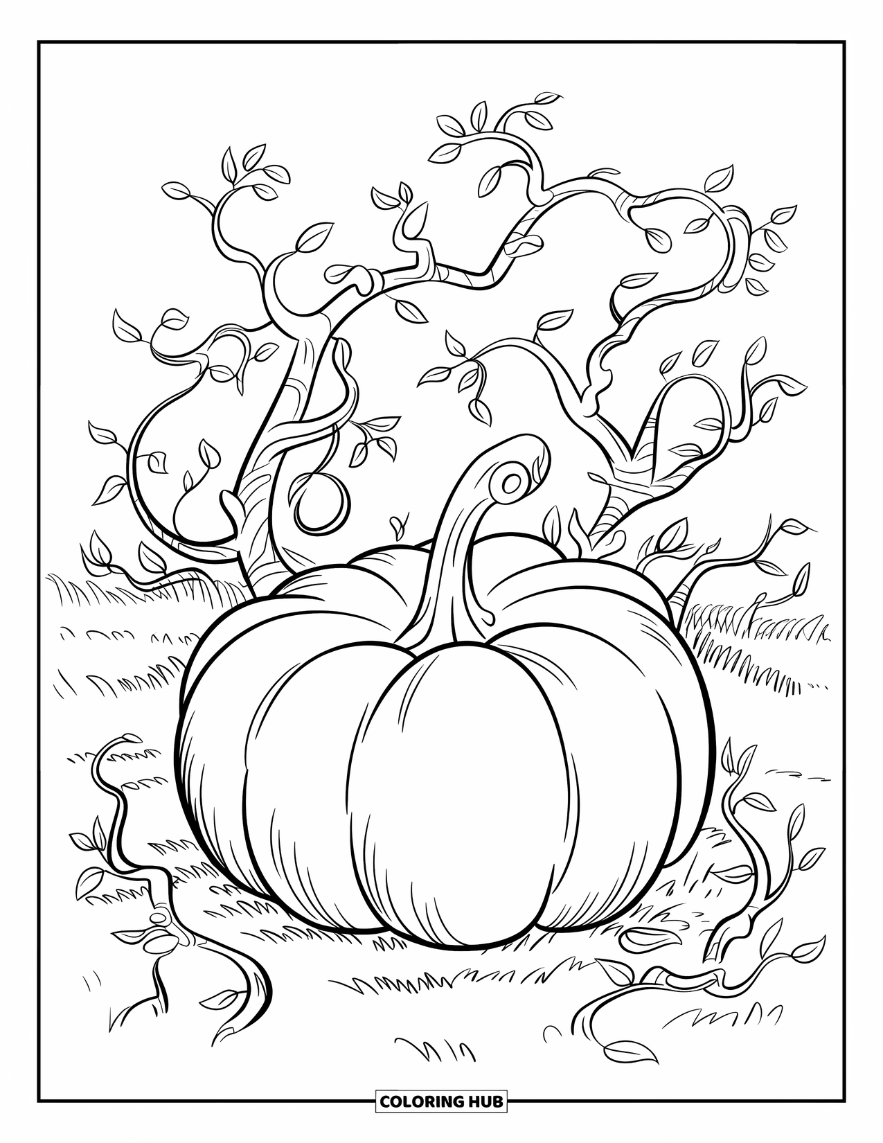 Coloriage de citrouille pour enfants : Citrouille entourée de branches entrelacées avec des feuilles délicates et bouclées