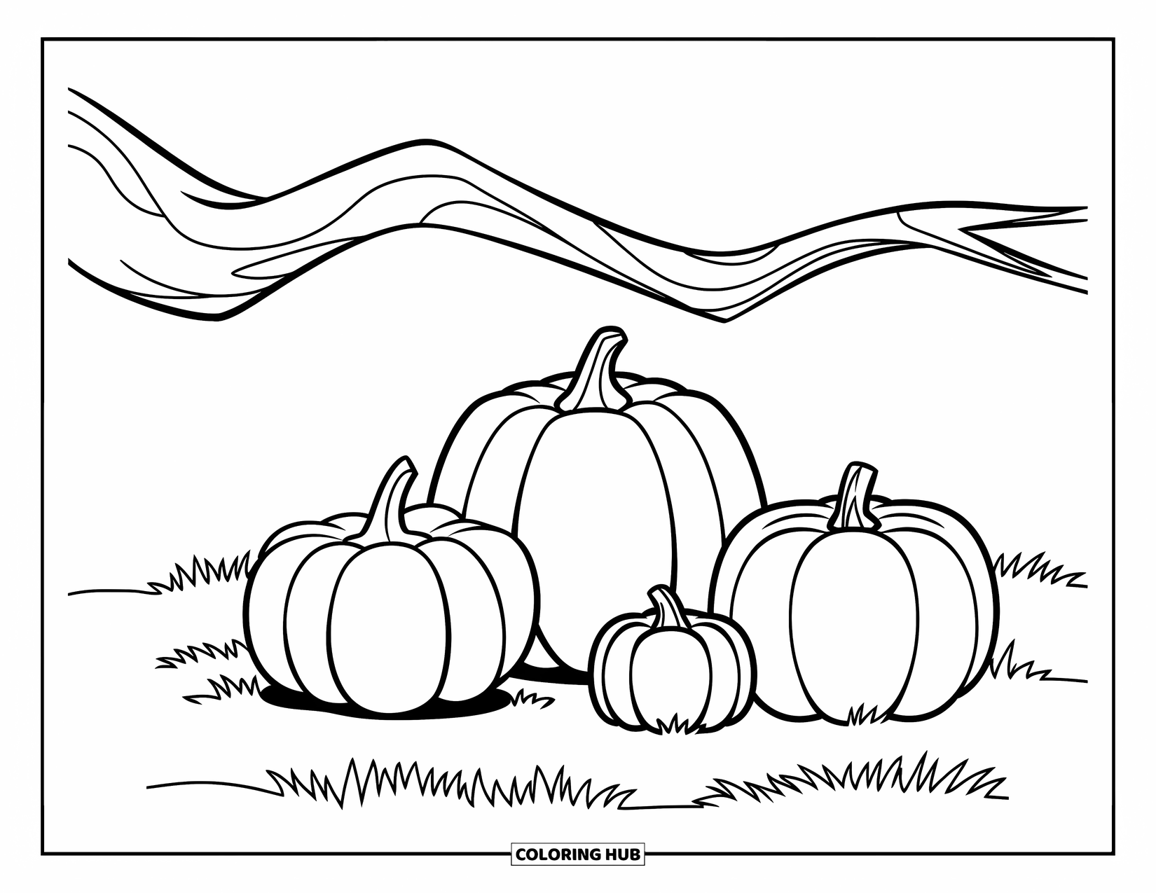 Coloriage de citrouille pour enfants : Trois citrouilles de différentes tailles reposant sous une branche d’arbre courbée