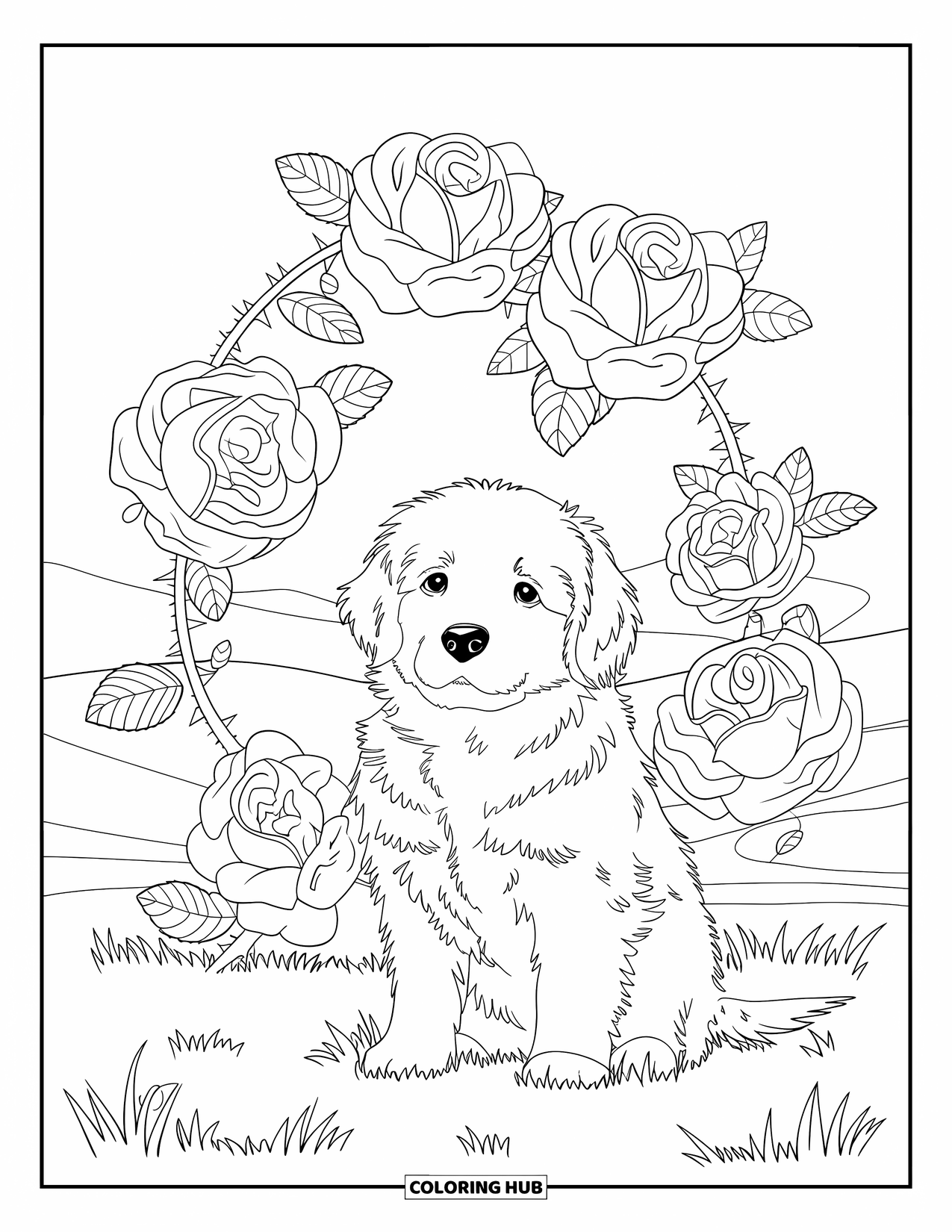 Puppy Coloring Page for Adults: A fluffy Golden Retriever puppy is surrounded by blooming roses and detailed leaves