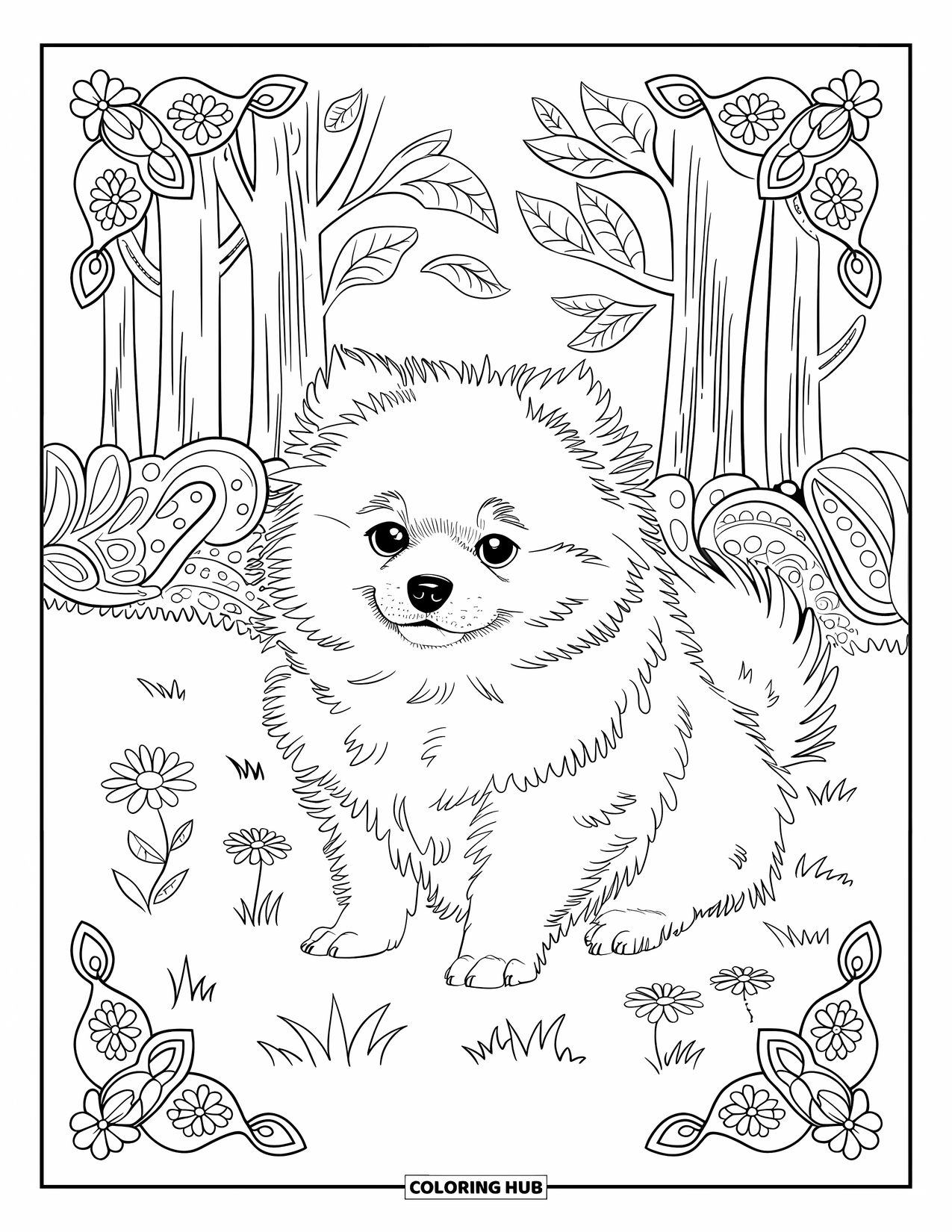 Puppy Coloring Page for Adults: A fluffy Pomeranian puppy is surrounded by swirling paisley and floral designs