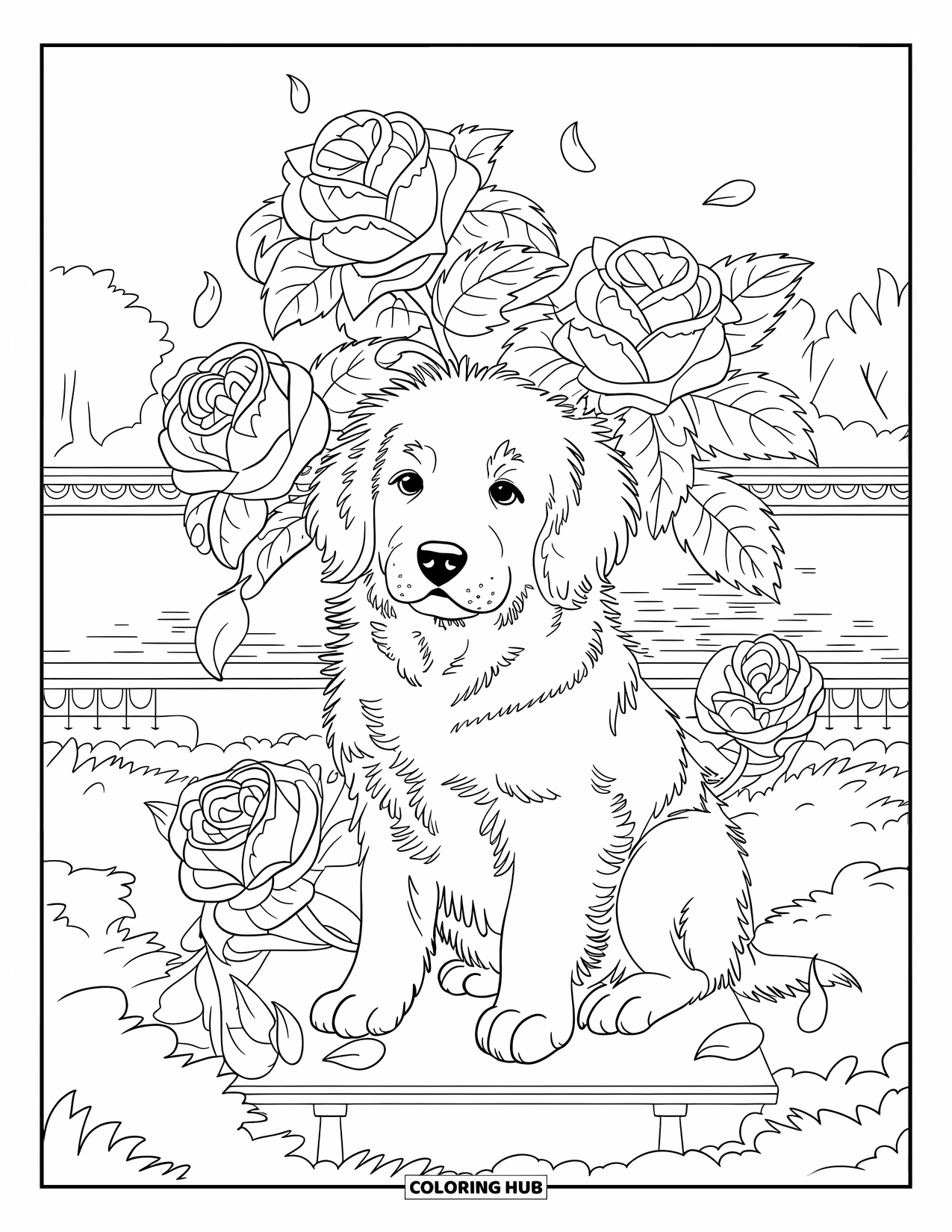 Puppy Coloring Page for Adults: A Golden Retriever puppy rests near blooming roses, with petals scattered around