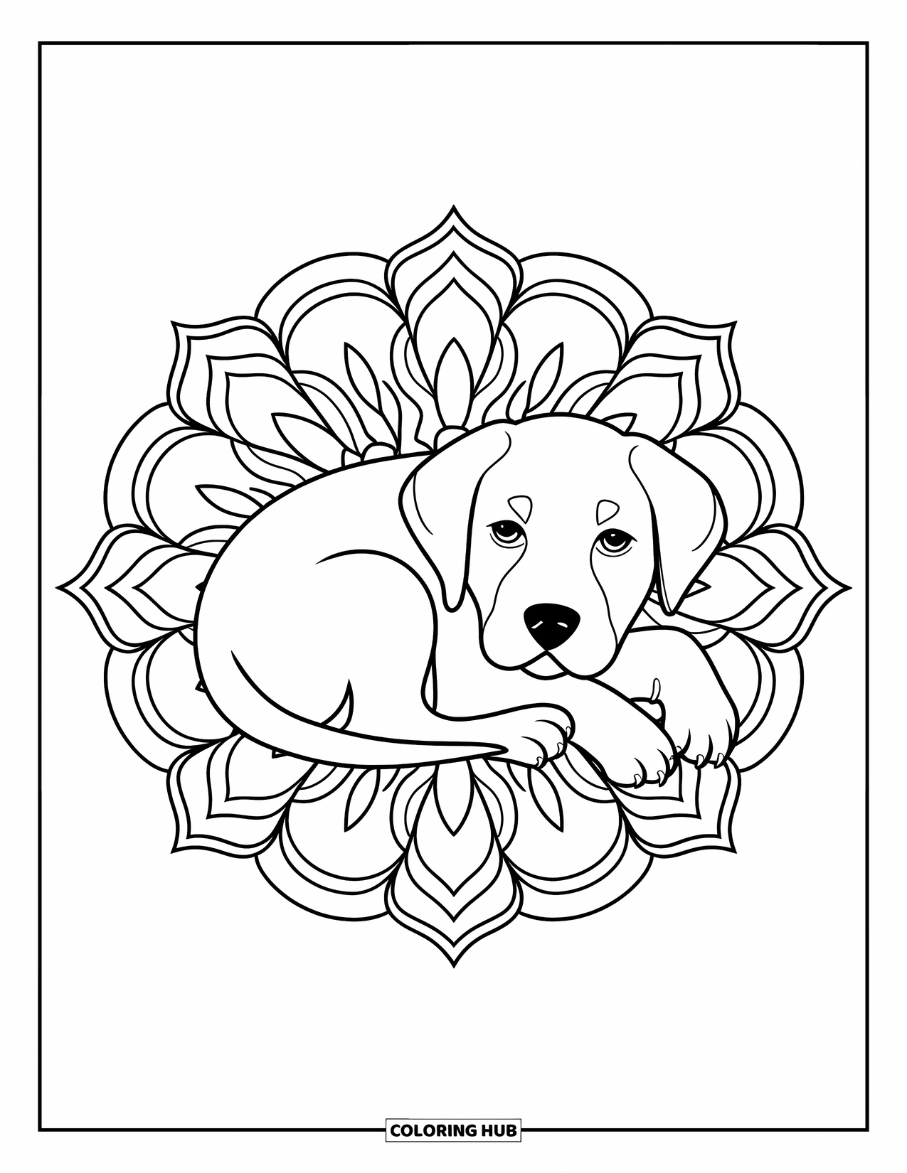 Puppy Coloring Page for Adults: A peaceful Labrador Retriever puppy sleeps within an elegant mandala floral pattern