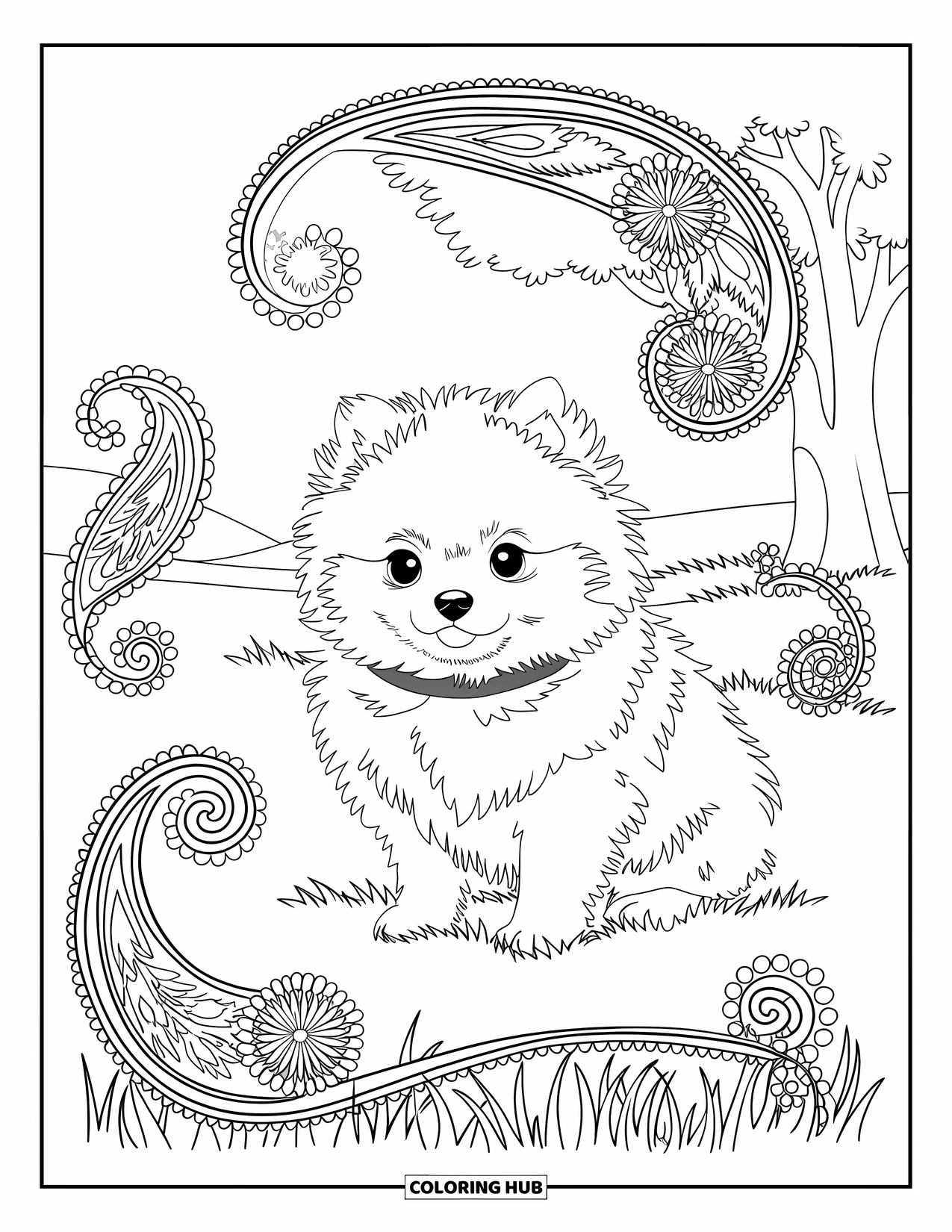 Puppy Coloring Page for Adults: A Pomeranian puppy rests peacefully, surrounded by elegant floral and paisley elements