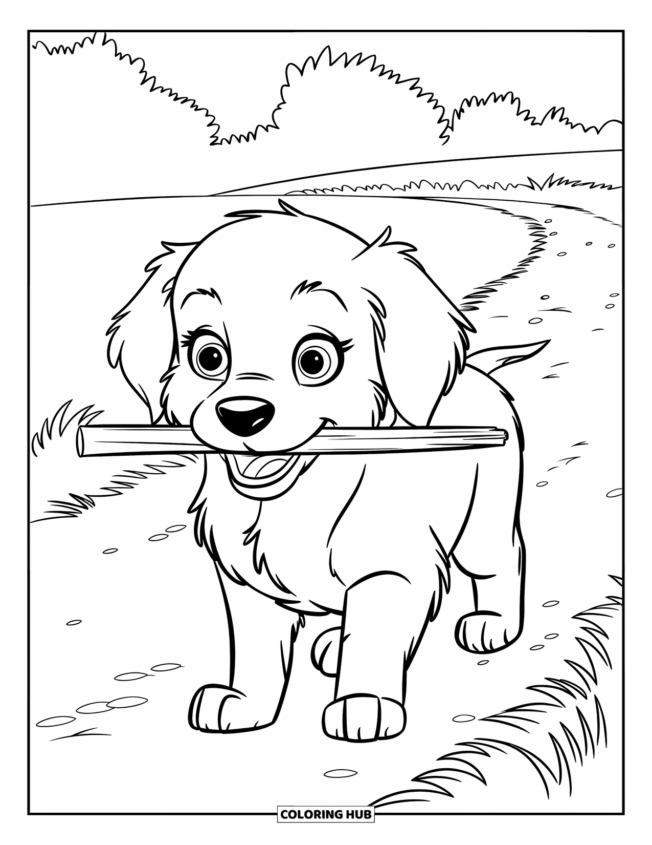 Puppy Coloring Page for Kids: A fluffy Golden Retriever puppy holds a stick in its mouth while standing in a field