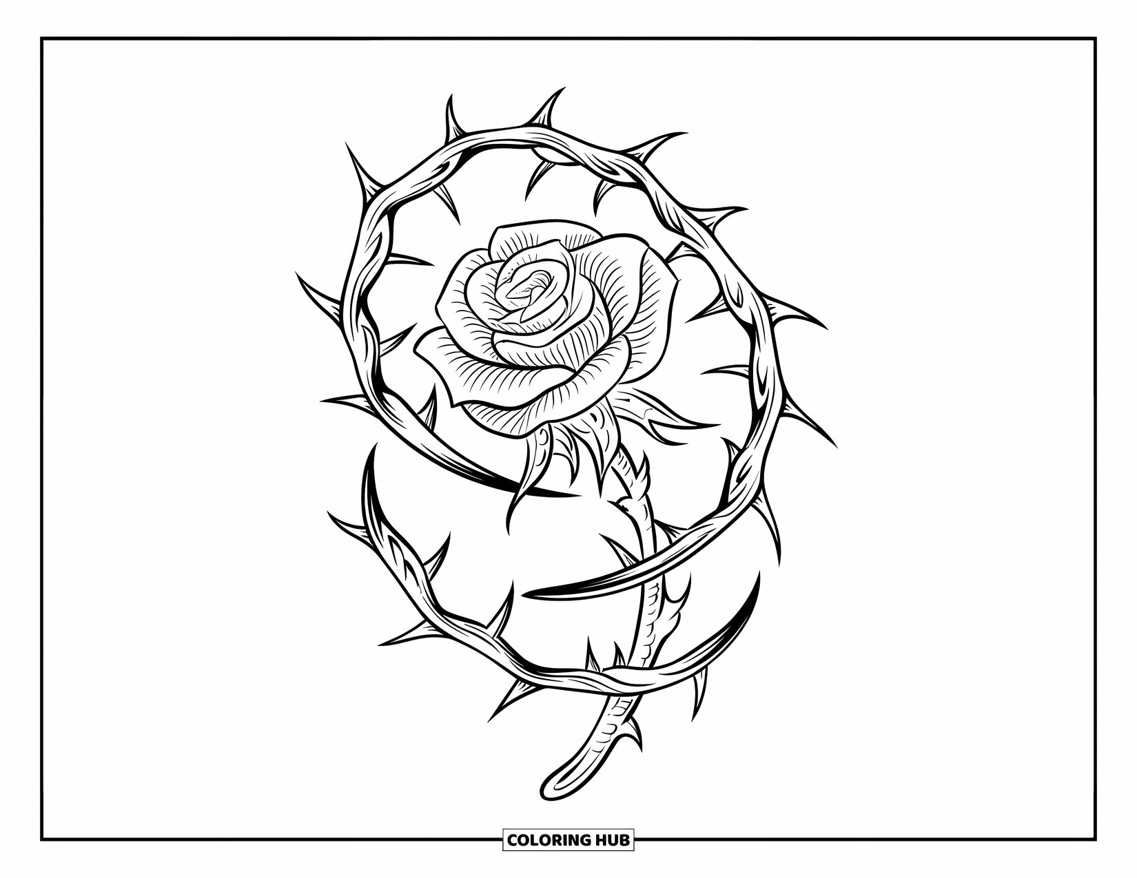 Desen de colorat cu trandafiri pentru adulți: Un trandafir în stil gotic înflorit, cu spini ascuțiți, spiralați și o tulpină robustă