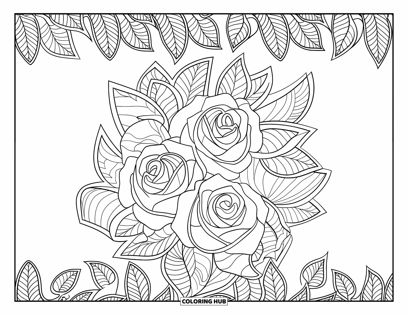 Desen de colorat cu trandafir pentru adulți: Un model floral circular cu trandafiri îndrăzneți și frunze împletite, înconjurat de o bordură