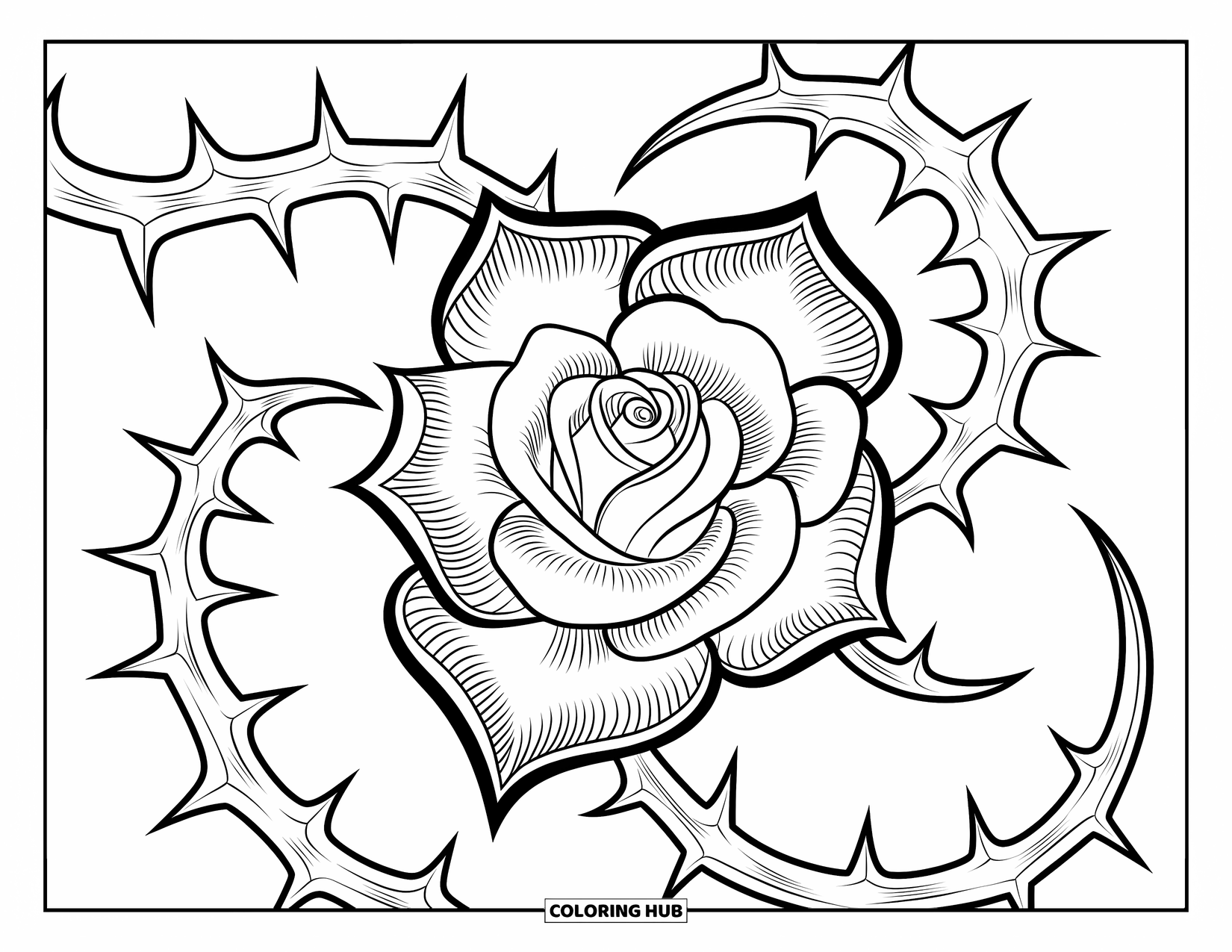 Desen de colorat cu trandafiri pentru adulți: Un trandafir în stil gotic cu spini ondulați, creând un design elegant și complex