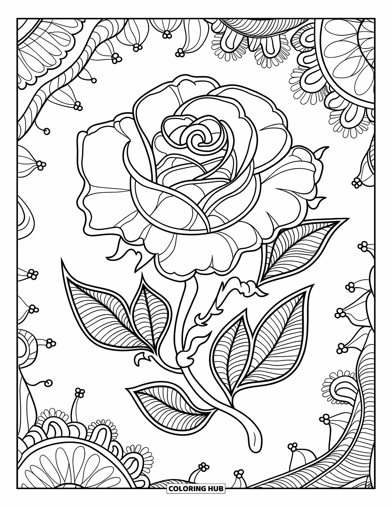 Desen de colorat cu trandafiri pentru adulți: Un design de trandafir inspirat de dantelă, cu vârtejuri delicate și detalii florale minuscule