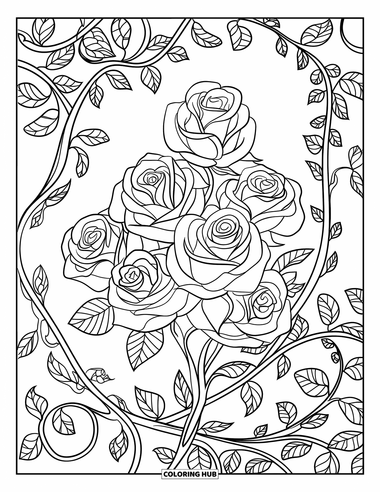 Desen de colorat cu trandafir pentru adulți: Un model floral asemănător dantelei, cu trandafiri îndrăzneți și vițe răsucite care se extind spre exterior