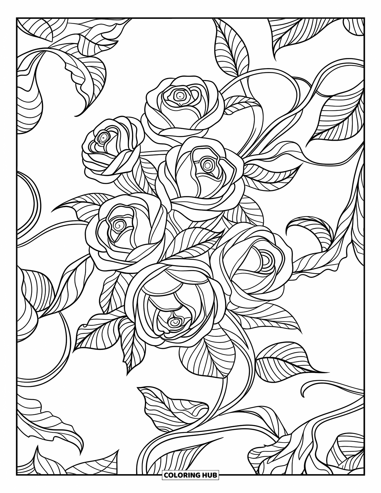 Desen de colorat cu trandafir pentru adulți: Un design elaborat cu trandafiri și viță de vie, plin de detalii florale vârtejitoare