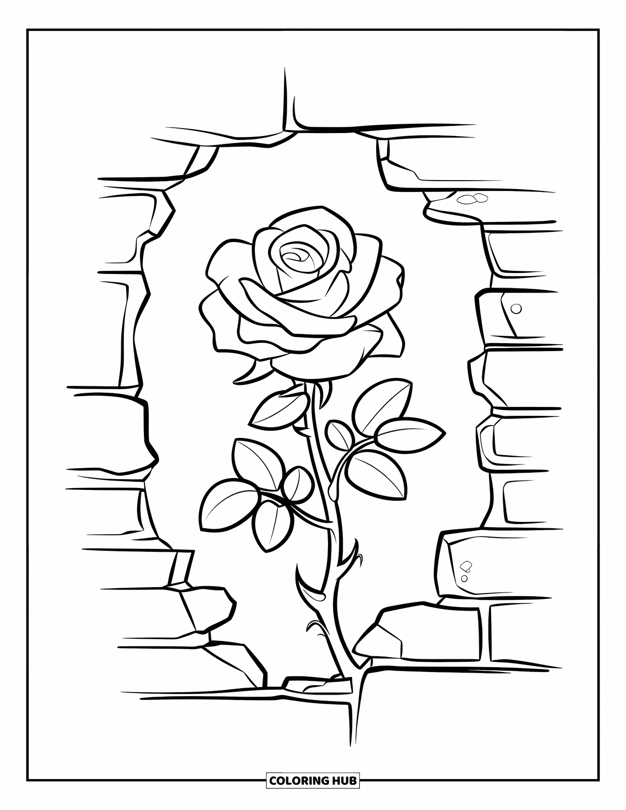 Desen de colorat cu trandafir pentru copii: Un trandafir înflorit care răsare din crăpăturile unui zid vechi de piatră